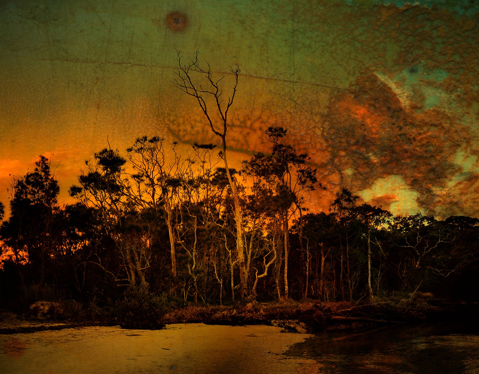 A personal interpretation of the continual threat of wildfires which many countries around the world now face. The photograph was taken near the photographer&rsquo;s family home and painted with coloured inks. Callala Bay (Jerrinja and Wandi Wandian Country), Australia.
