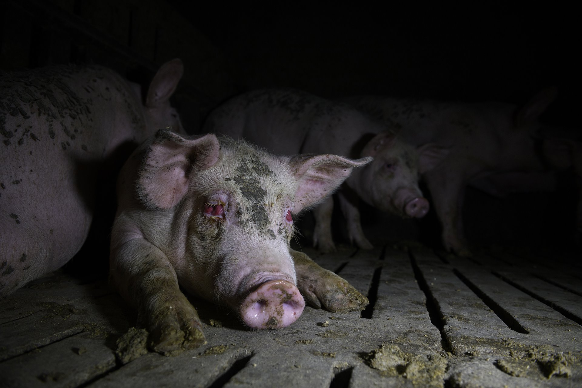 Aitor Garmendia ENS-EJ | World Press Photo