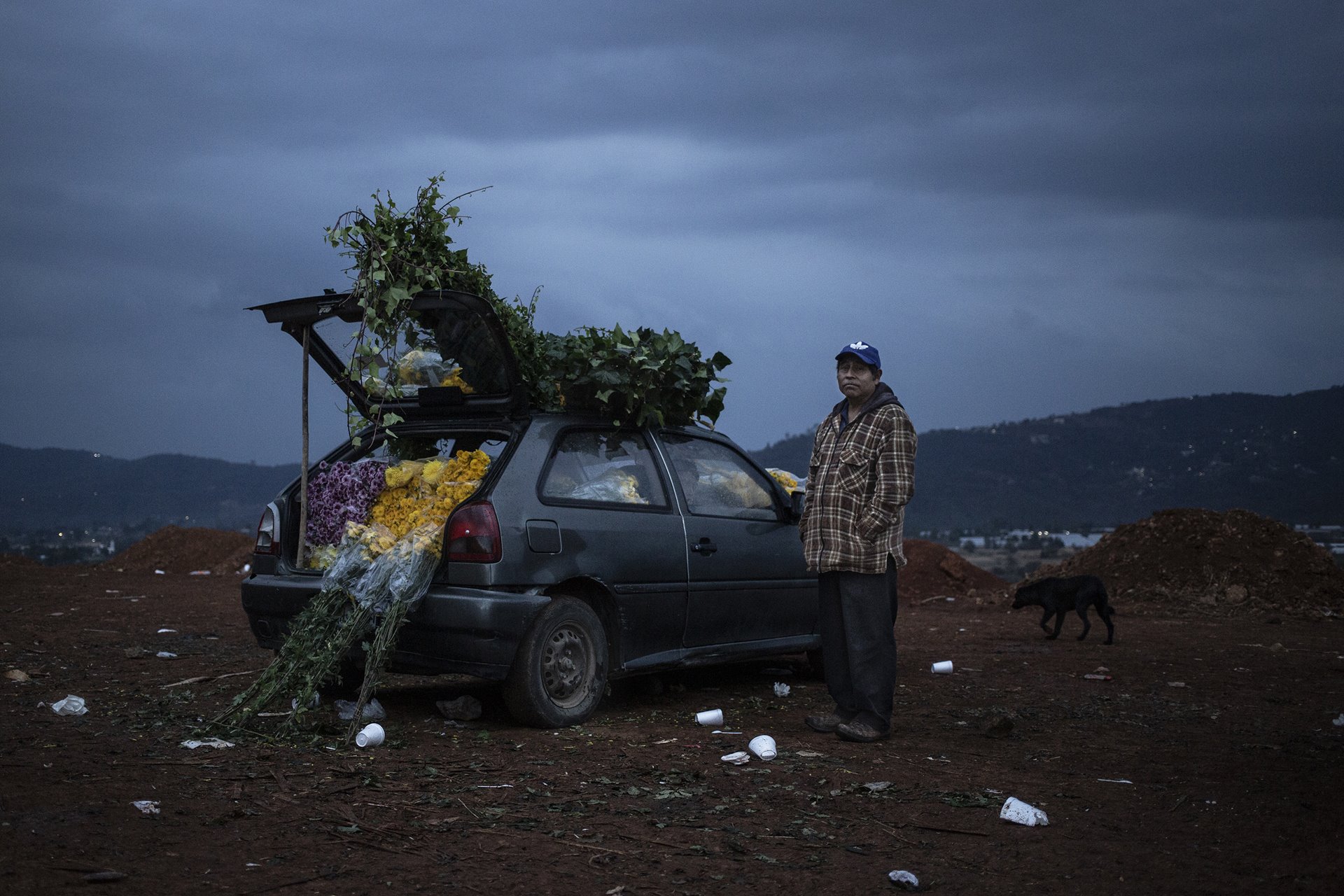 <p>A man sells flowers from his car at the Central de Abasto wholesale market (known as La Finca), in Villa Guerrero, Mexico. Most flowers sold at the market are shipped around the country or exported.</p>
