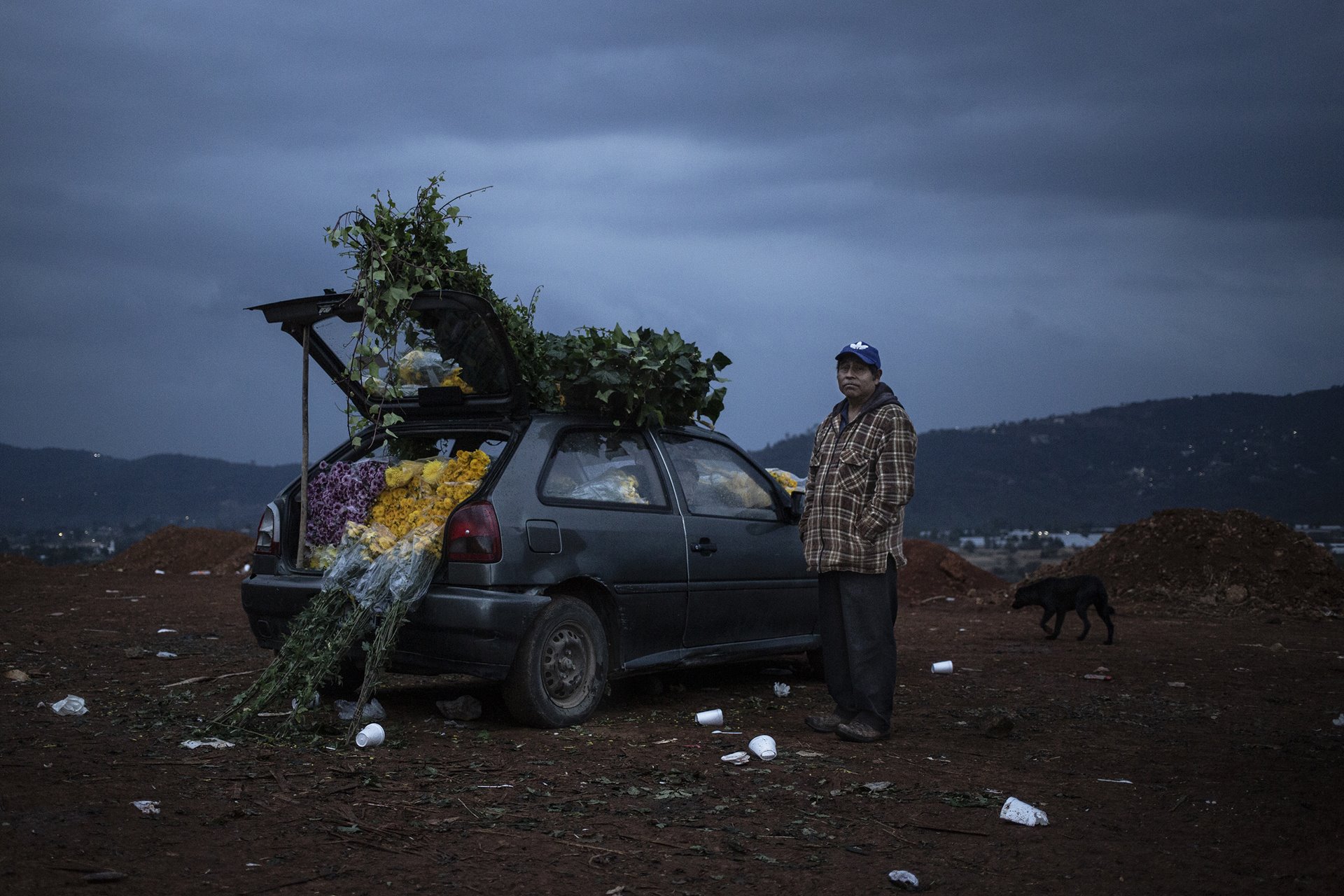 <p>A man sells flowers from his car at the Central de Abasto wholesale market (known as La Finca), in Villa Guerrero, Mexico. Most flowers sold at the market are shipped around the country or exported.</p>
