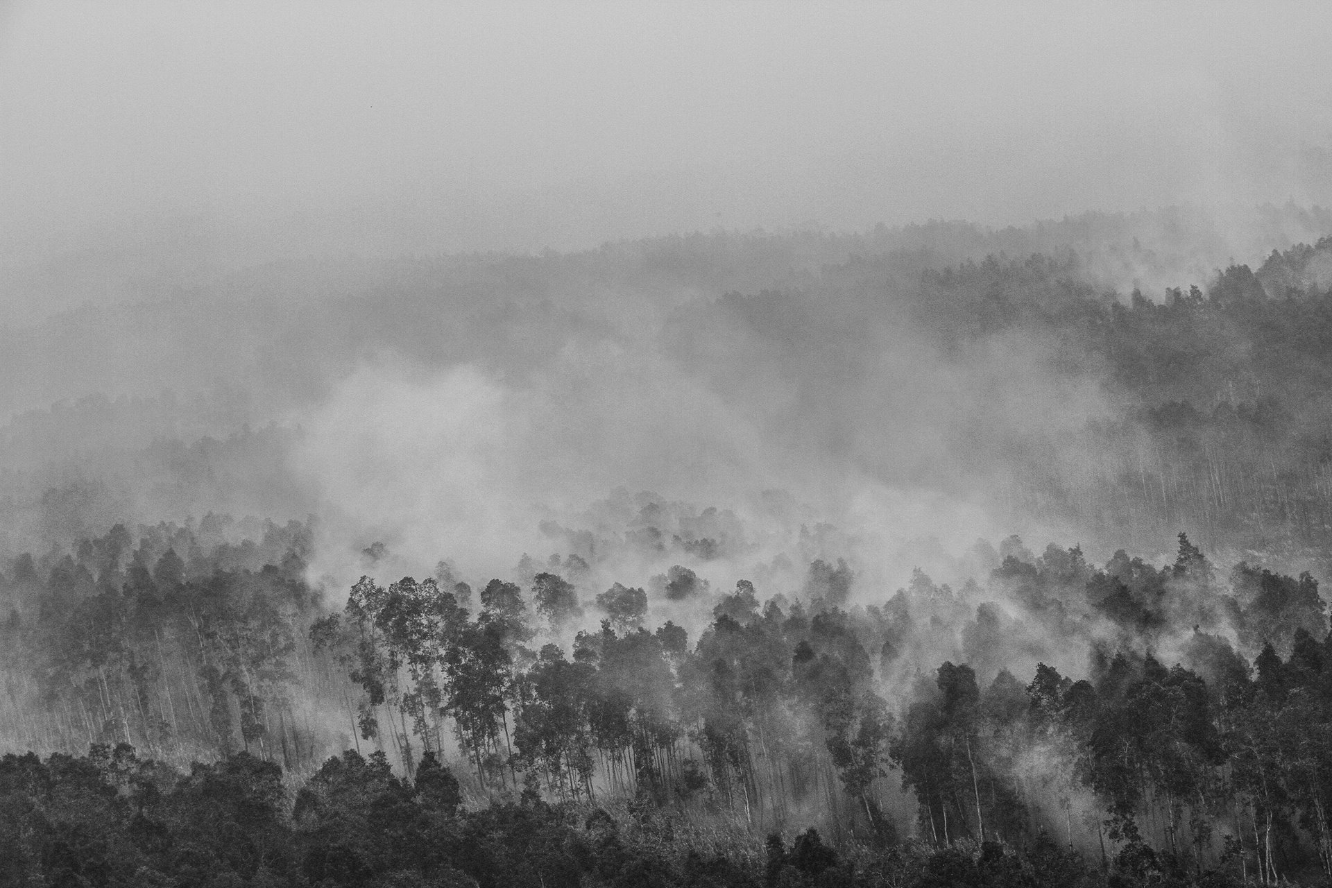 Forest fires burn in Ogan Komering Ilir, South Sumatra, Indonesia.