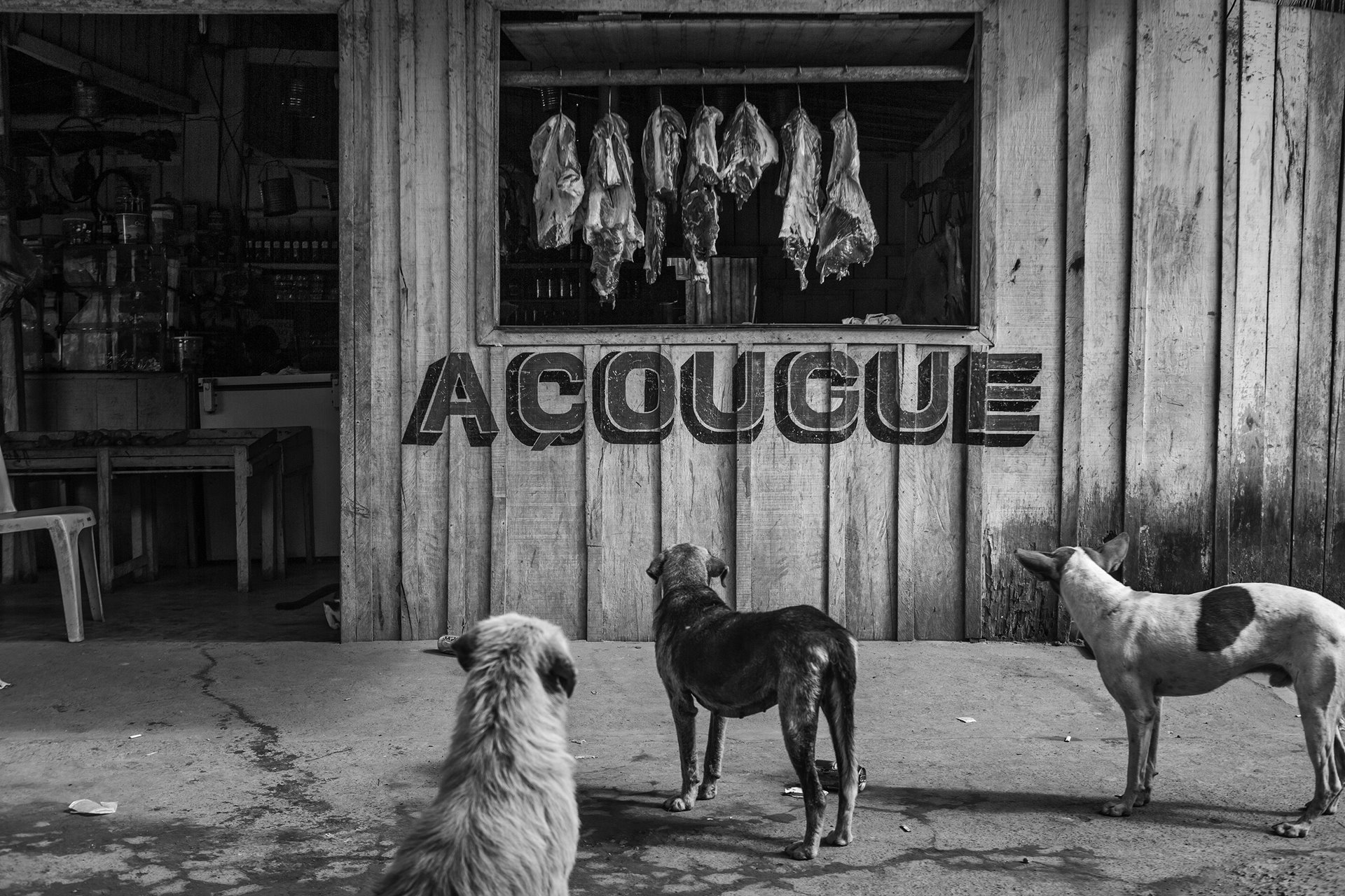 <p>Stray dogs stare at meat hanging in a butcher&#39;s shop in Vila da Ressaca, an area previously mined for gold but now almost completely abandoned, Altamira, Pará, Brazil. The area was due to be surveyed by the Canadian mining company Belo Sun for a large open-pit gold mine, which would further impact an area already affected by the Belo Monte hydroelectric dam.</p>
