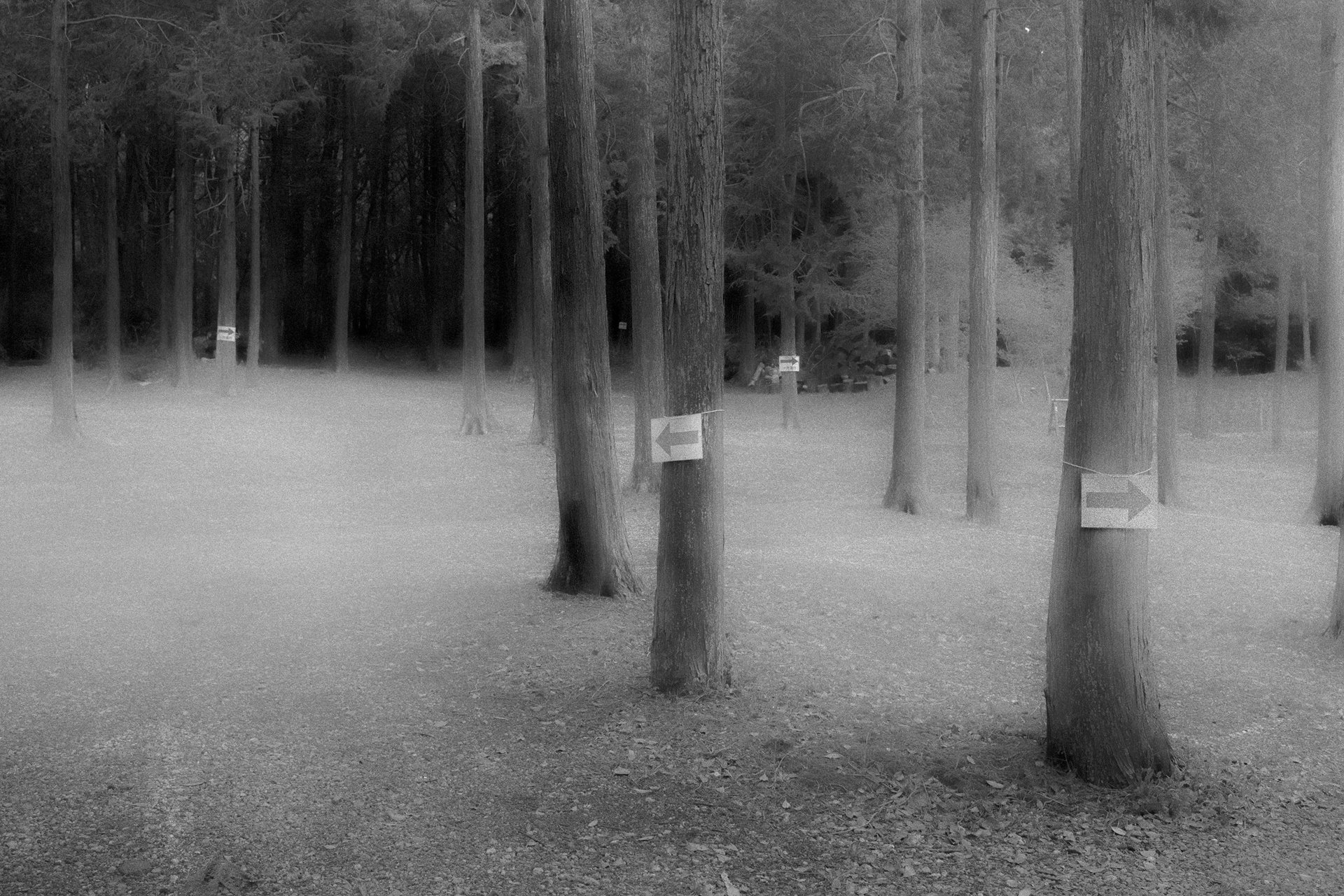 The parking lot of the shrine where Shigeo used to take walks, in Kyoto, Japan. This shrine was located along a mountain, about five kilometers from Shigeo&#39;s house.