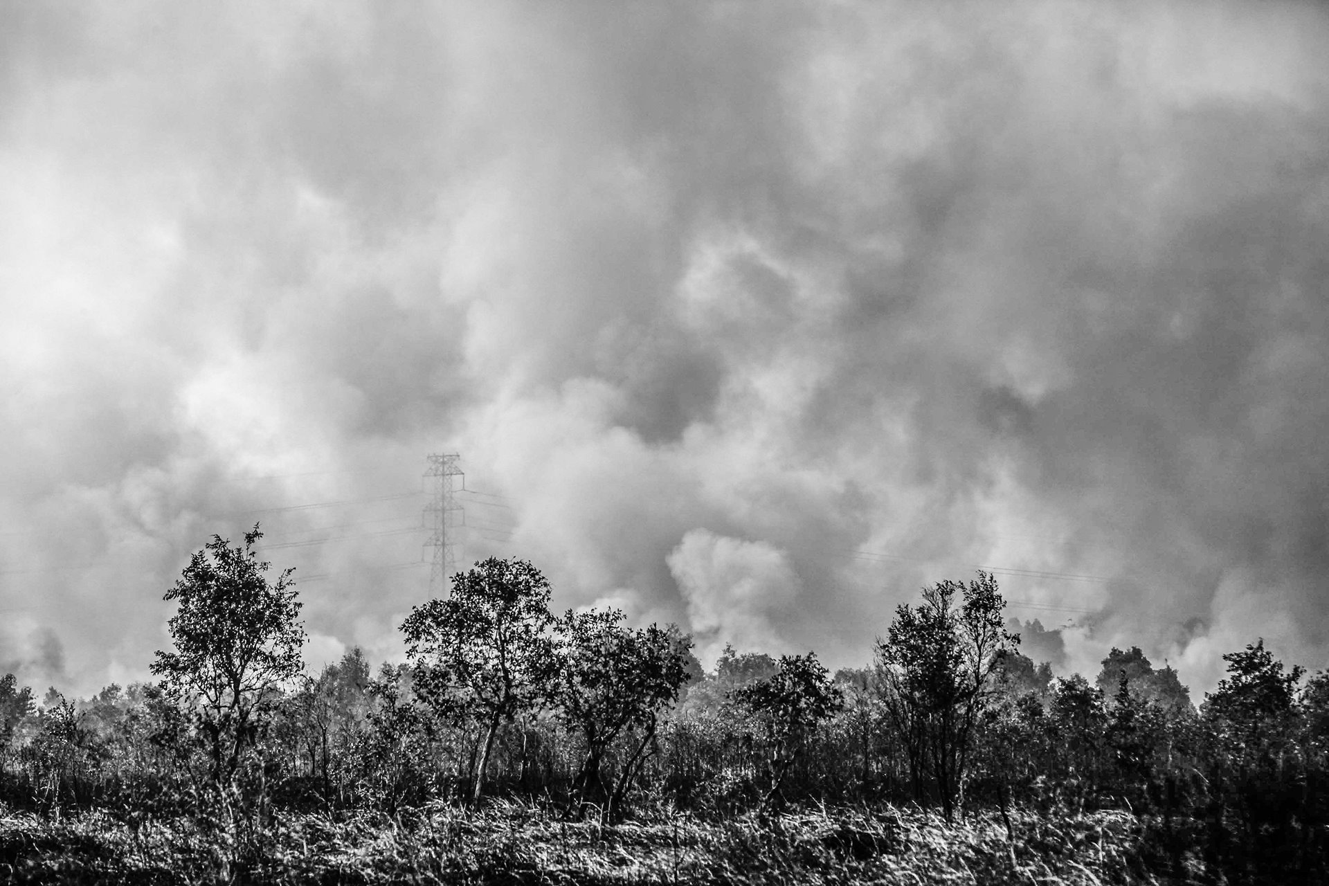 Smoke billows above burning peatland in Ogan Ilir, South Sumatra, Indonesia.