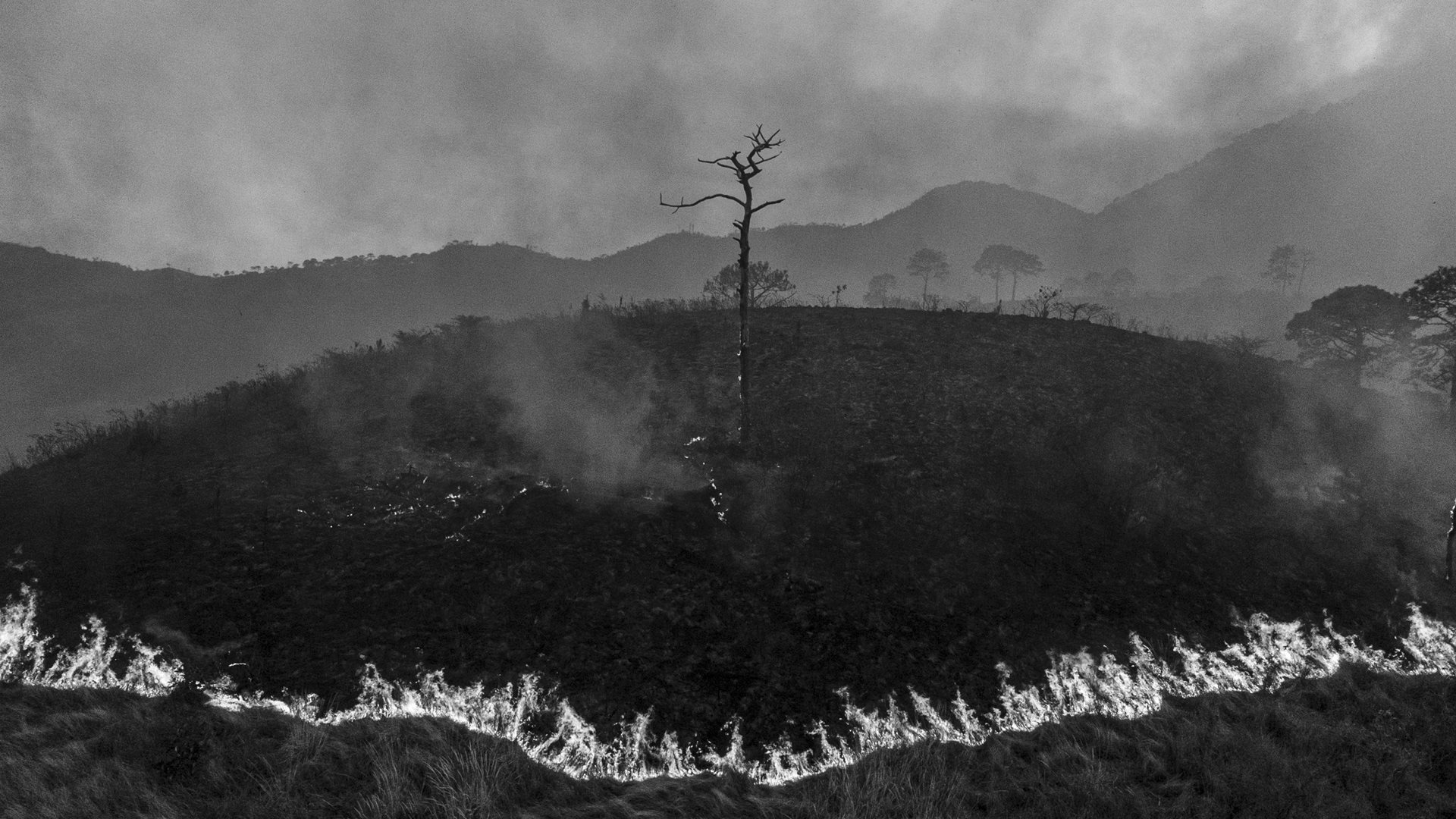 <p>A forest fire burns on Cerro de San Juan. Fueled by drought, the fires consumed over 950 hectares, threatening the biodiversity of the Nayarit highlands. Tepic, Mexico<br />
<br />
&nbsp;</p>
