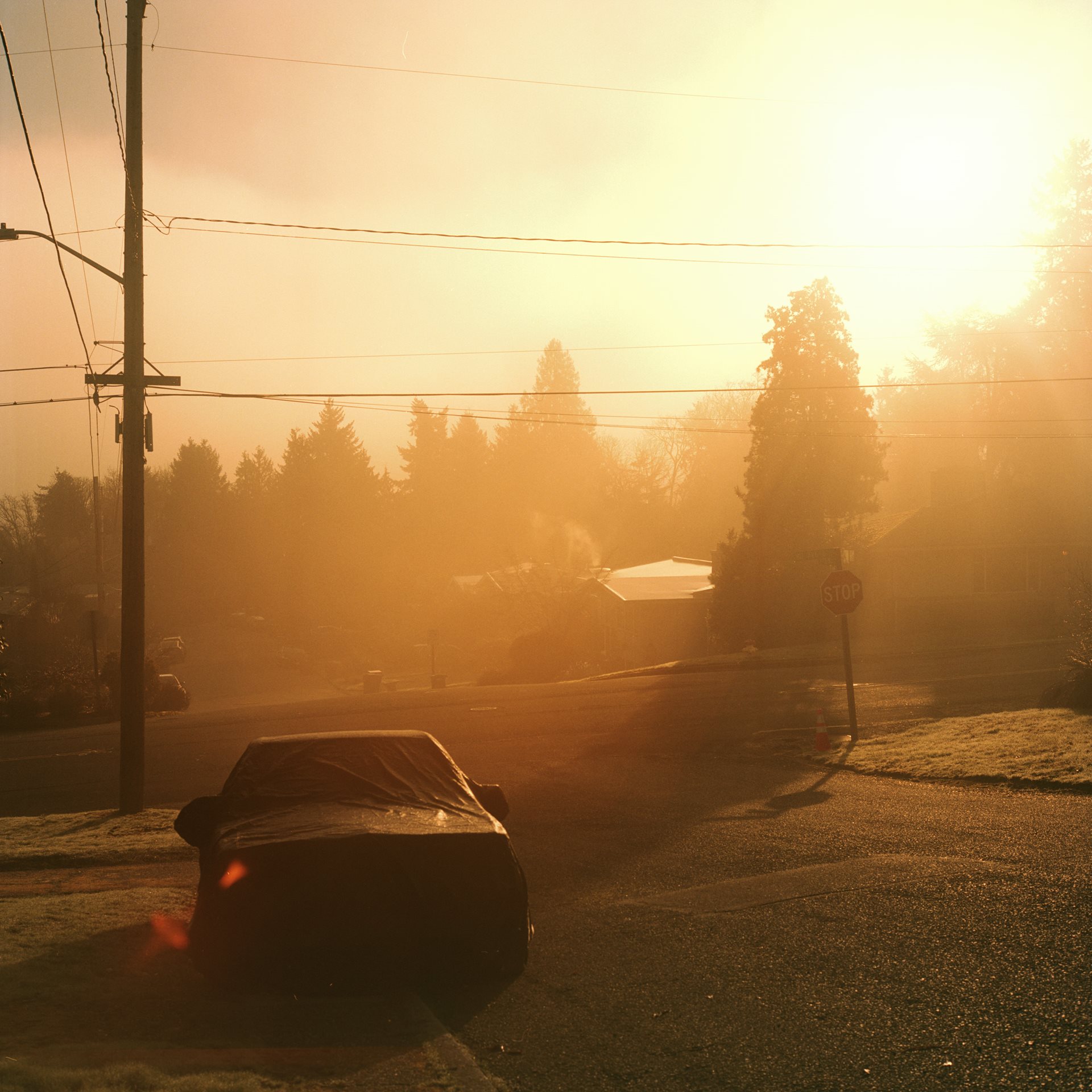 Early morning fog enfolds the neighborhood. Washington State, United States.