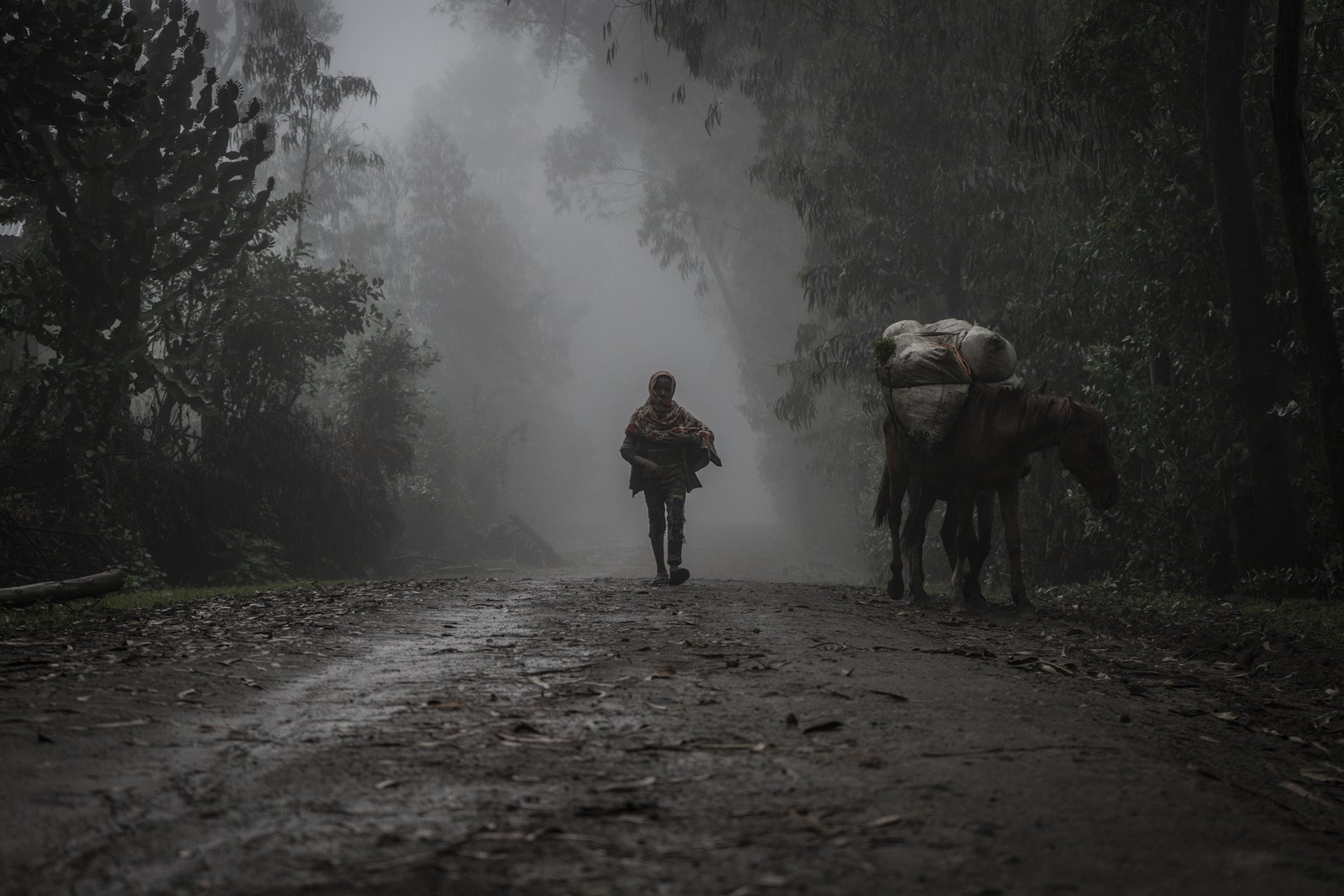 A boy walks through mist near the village of Chenna Teklehaymanot, 95 kilometers northeast of the city of Gondar, in Amhara, Ethiopia, on 14 September 2021. A government-imposed communications blackout made verification of events extremely difficult. According to Ethiopian officials, pro-Tigray fighters killed 120-200 civilians in the village between 31 August and 4 September. The Associated Press found many unburied corpses at the scene, some in military clothing. Human Rights Watch collected the names of 74 civilians who allegedly died in the village in that time period. Tigrayan officials denied the killings on Twitter.