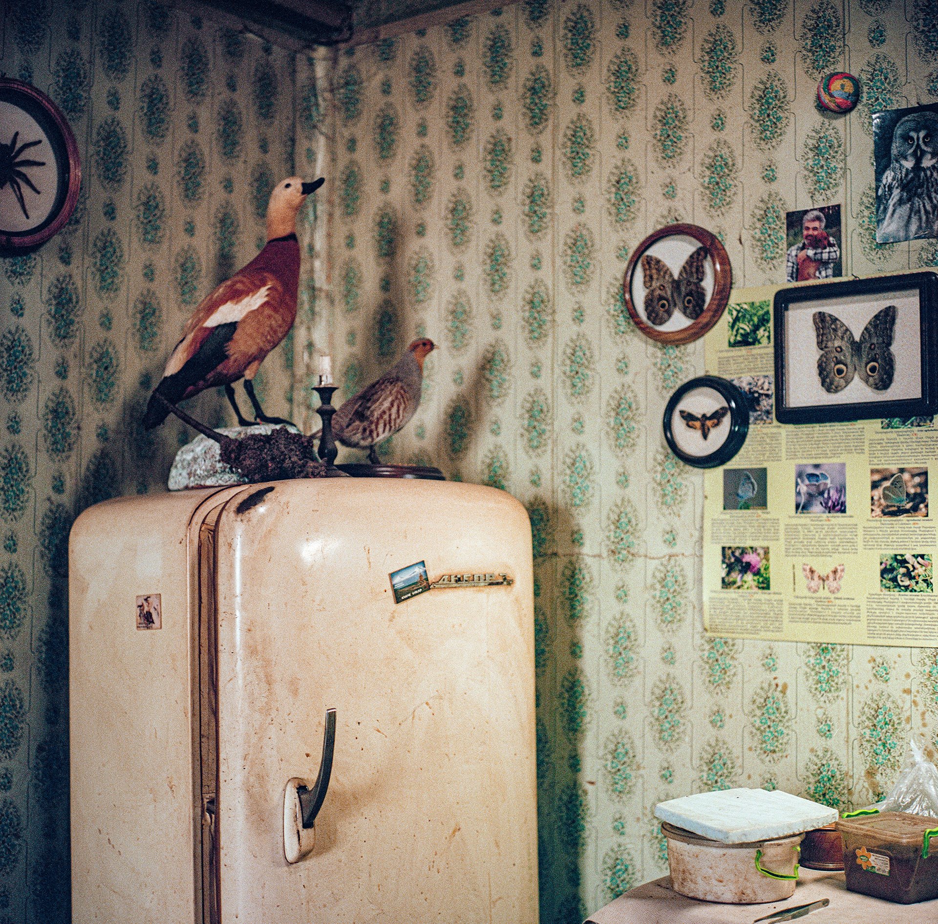 Parkev Kazarian&rsquo;s home is a time capsule full of stories and objects from the time before the war. The Soviet era refrigerator is stacked with taxidermied birds and preserved beetles. Gyumri, Armenia.