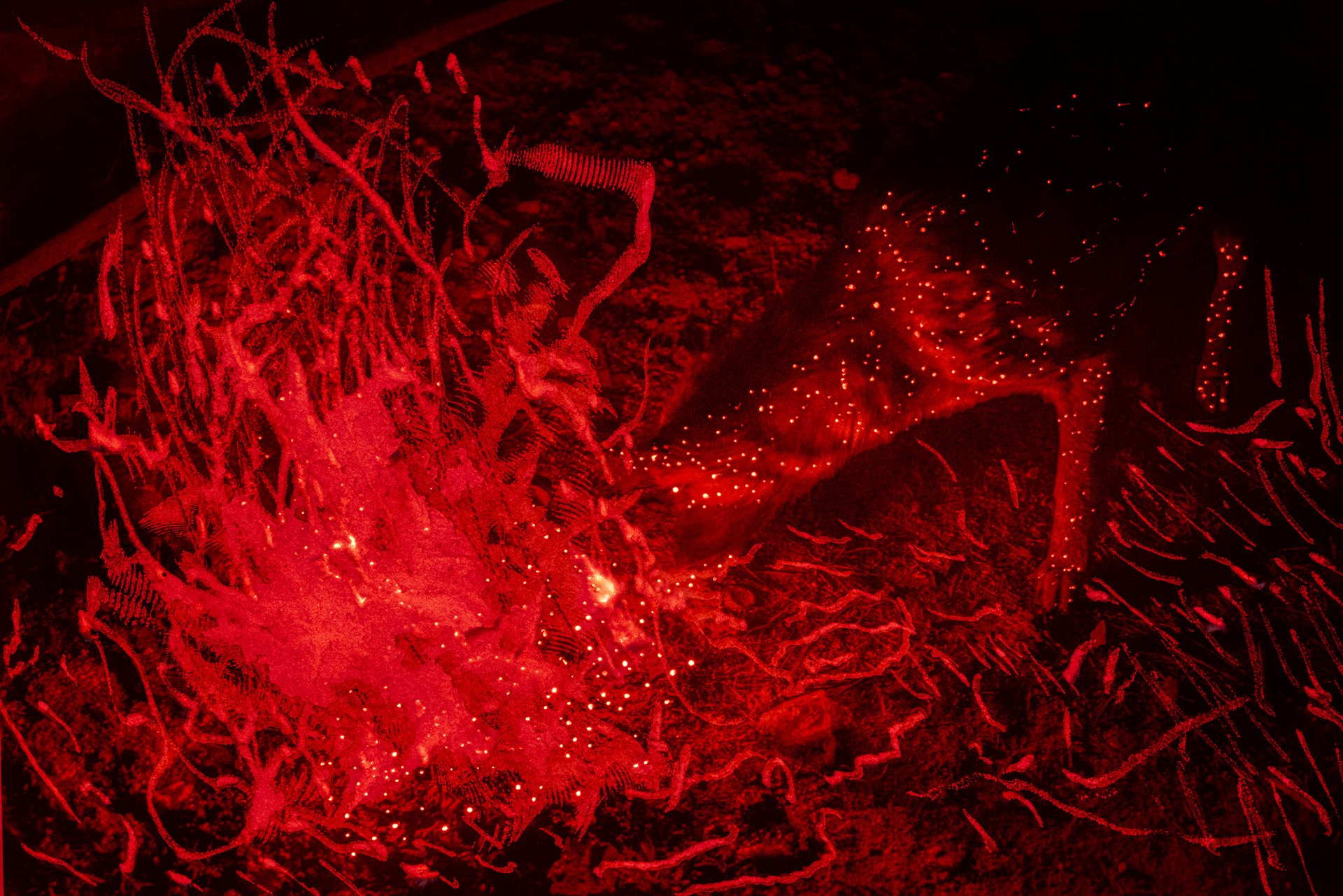 A dog eats next to a bonfire in Malinaltepec, Guerrero, Mexico.