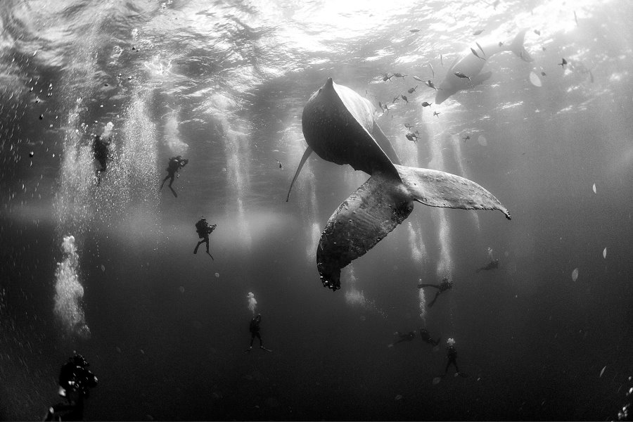Unseen Amsterdam Photography Fair