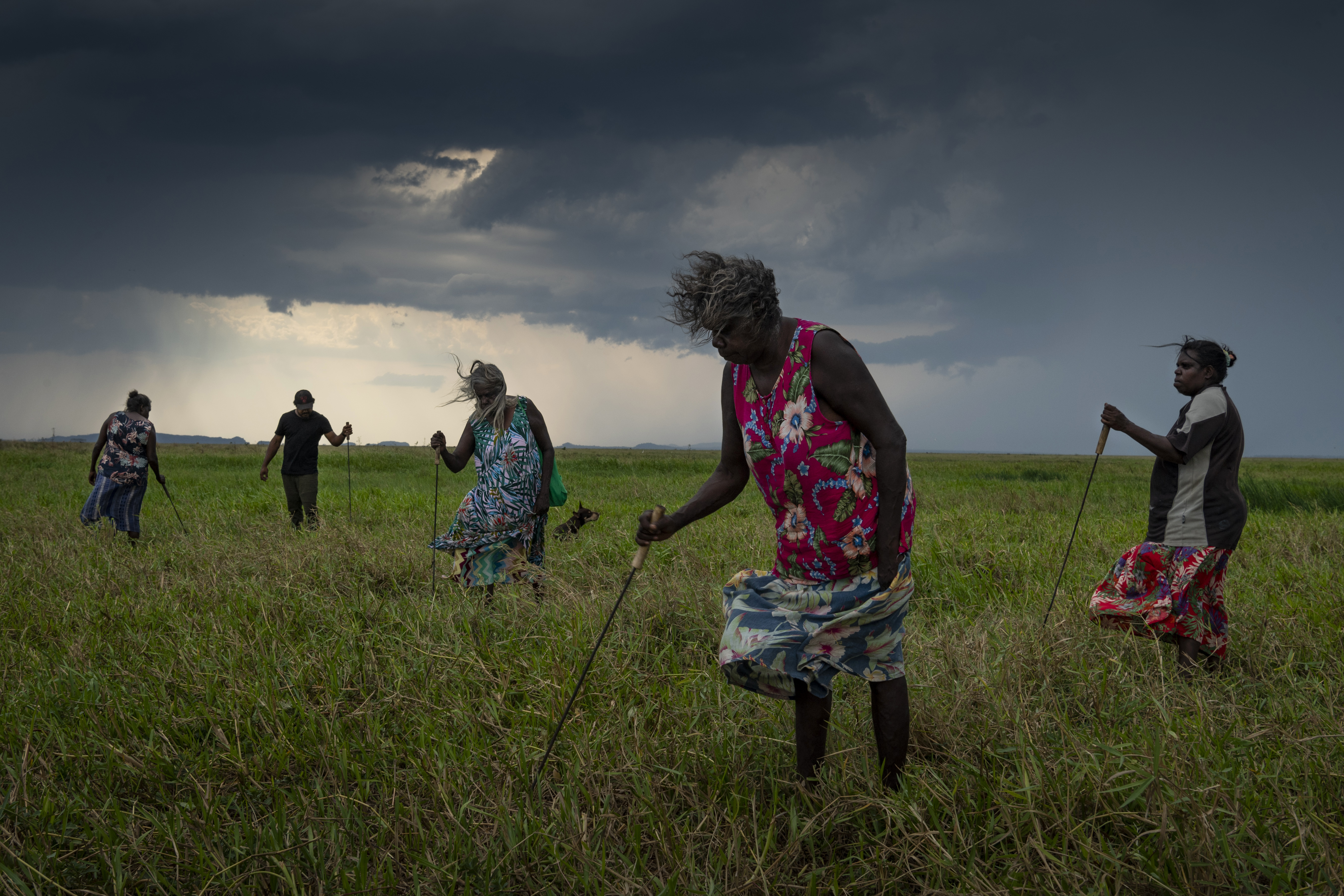 A group of Narwarddeken women elders hunt for turtles with homemade tools on floodplains near Gunbalanya, Arnhem Land, Australia. They spent all day finding just two turtles, which are a popular delicacy. Soon the grass will be burnt to make the hunt easier.