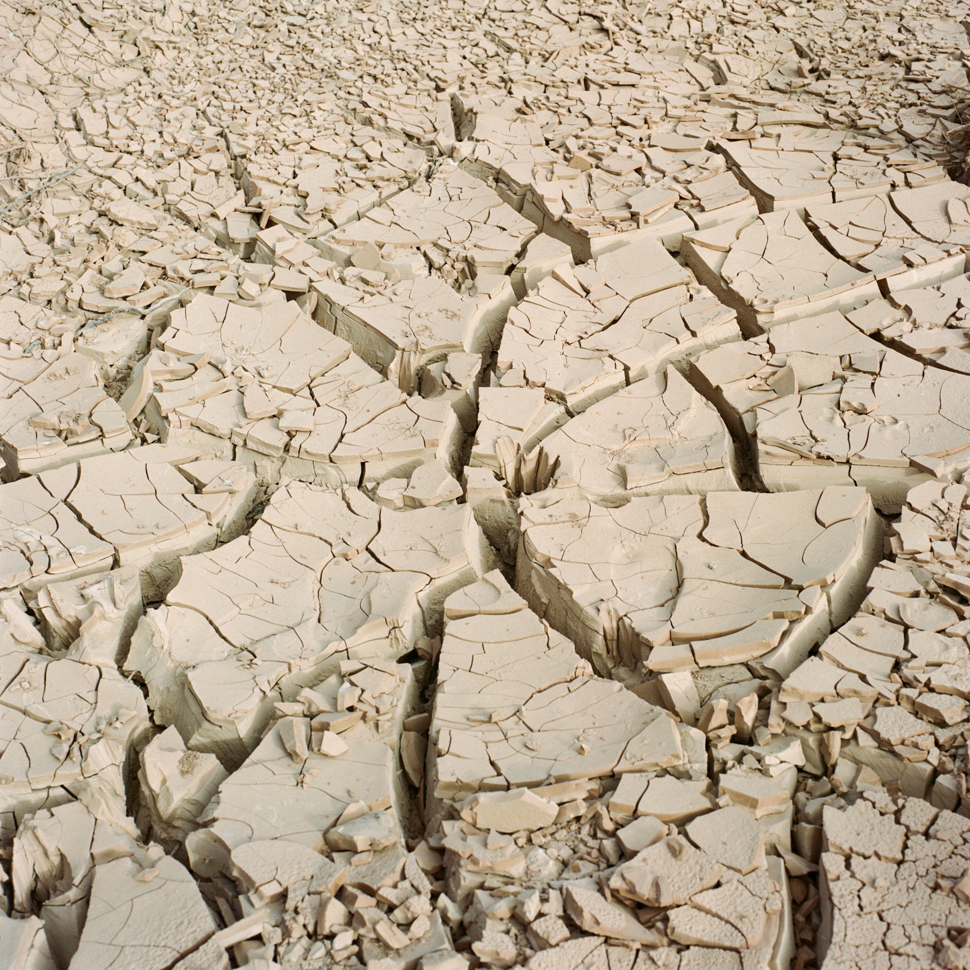 Water stress has parched the earth at Tighmert Oasis in southern Morocco.