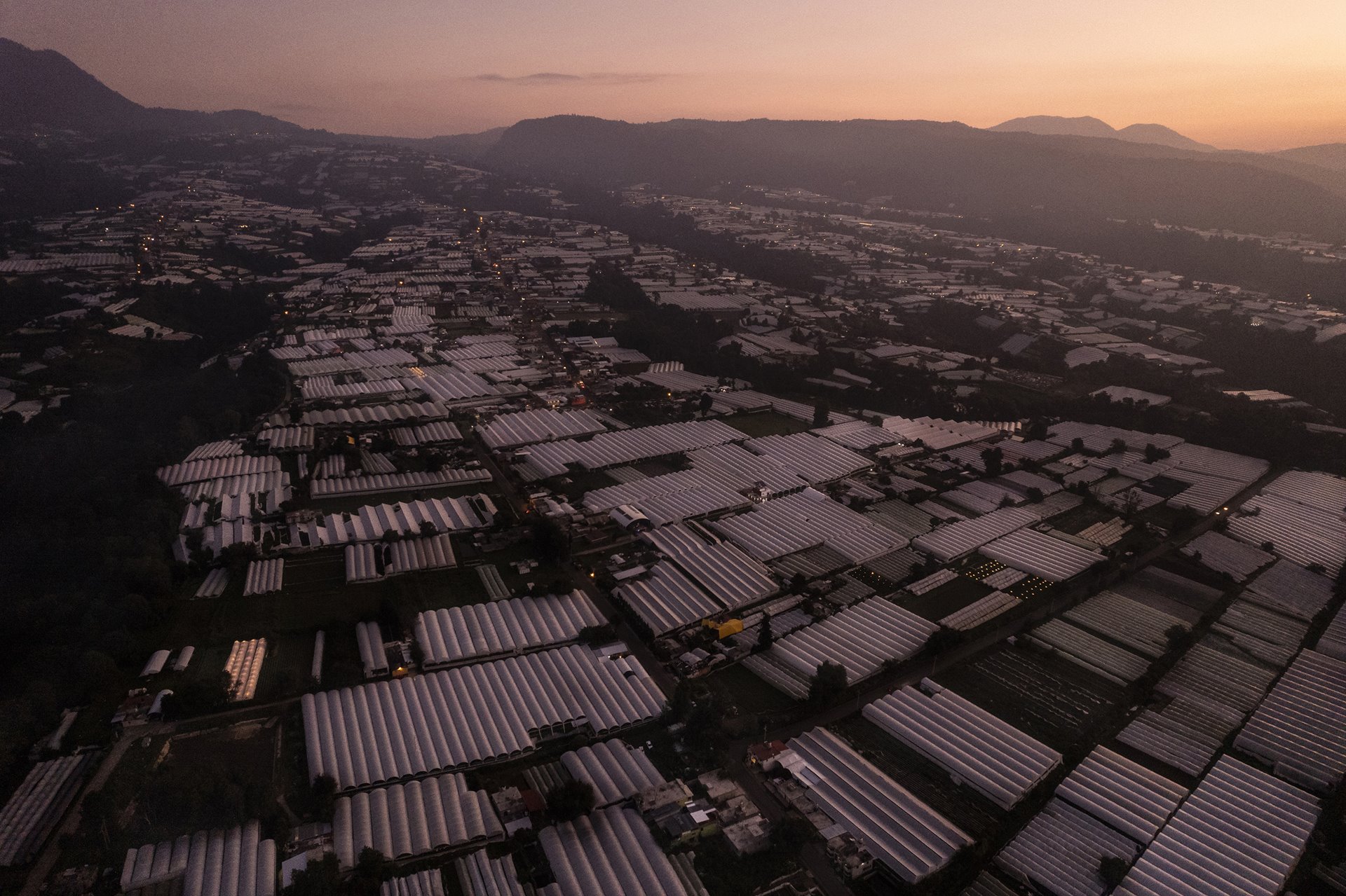 <p>Floriculture greenhouses cover hundreds of hectares in Villa Guerrero, Mexico. The surrounding state is responsible for most of the country&rsquo;s greenhouse-grown cut flower production.</p>
