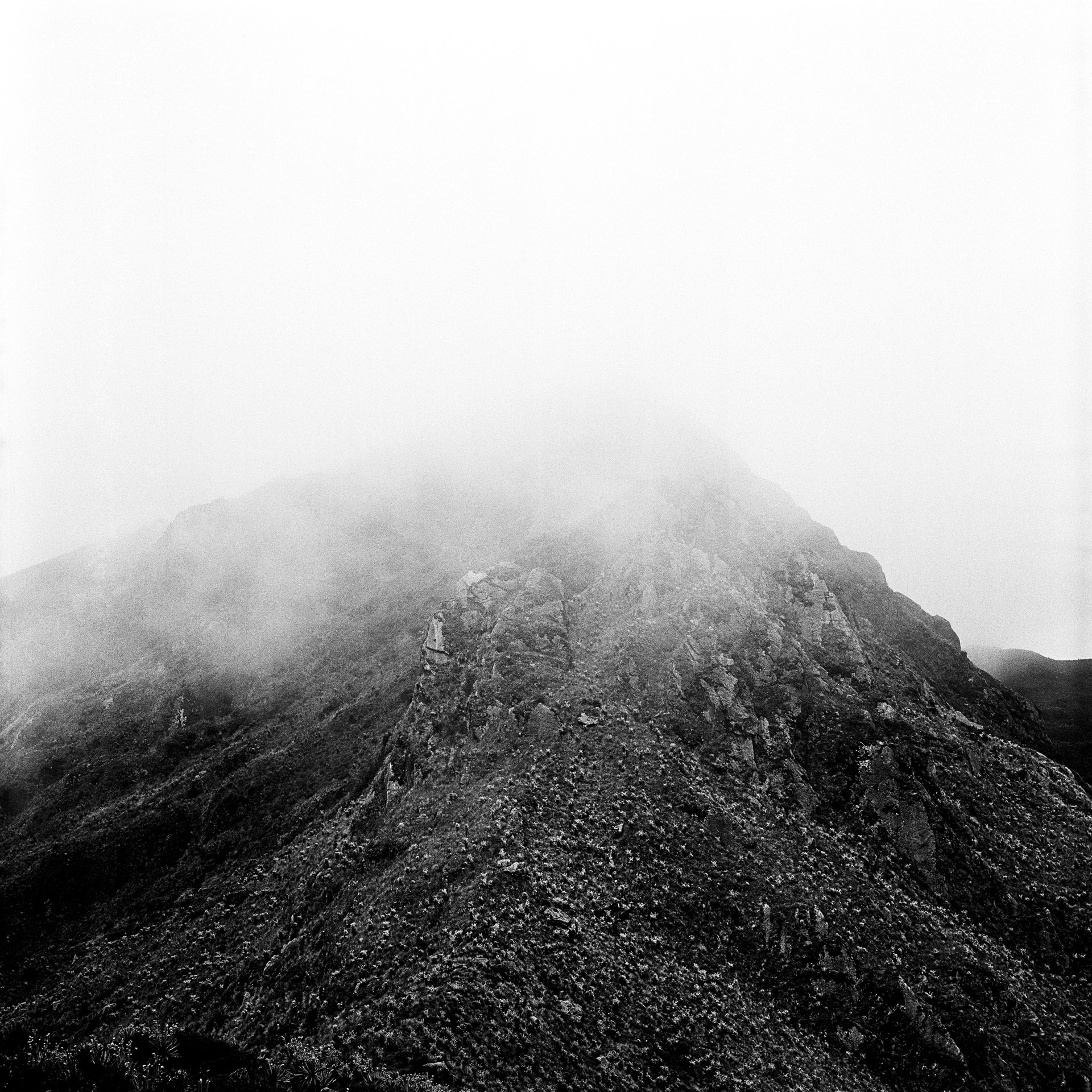 The Páramo de Sumapaz, a natural park near Bogotá considered the largest páramo ecosystem in the world, was reputedly used by guerilla groups as a corridor for weapons trafficking and transporting kidnap victims, and by various perpetrators as a burial place for the forcibly disappeared.