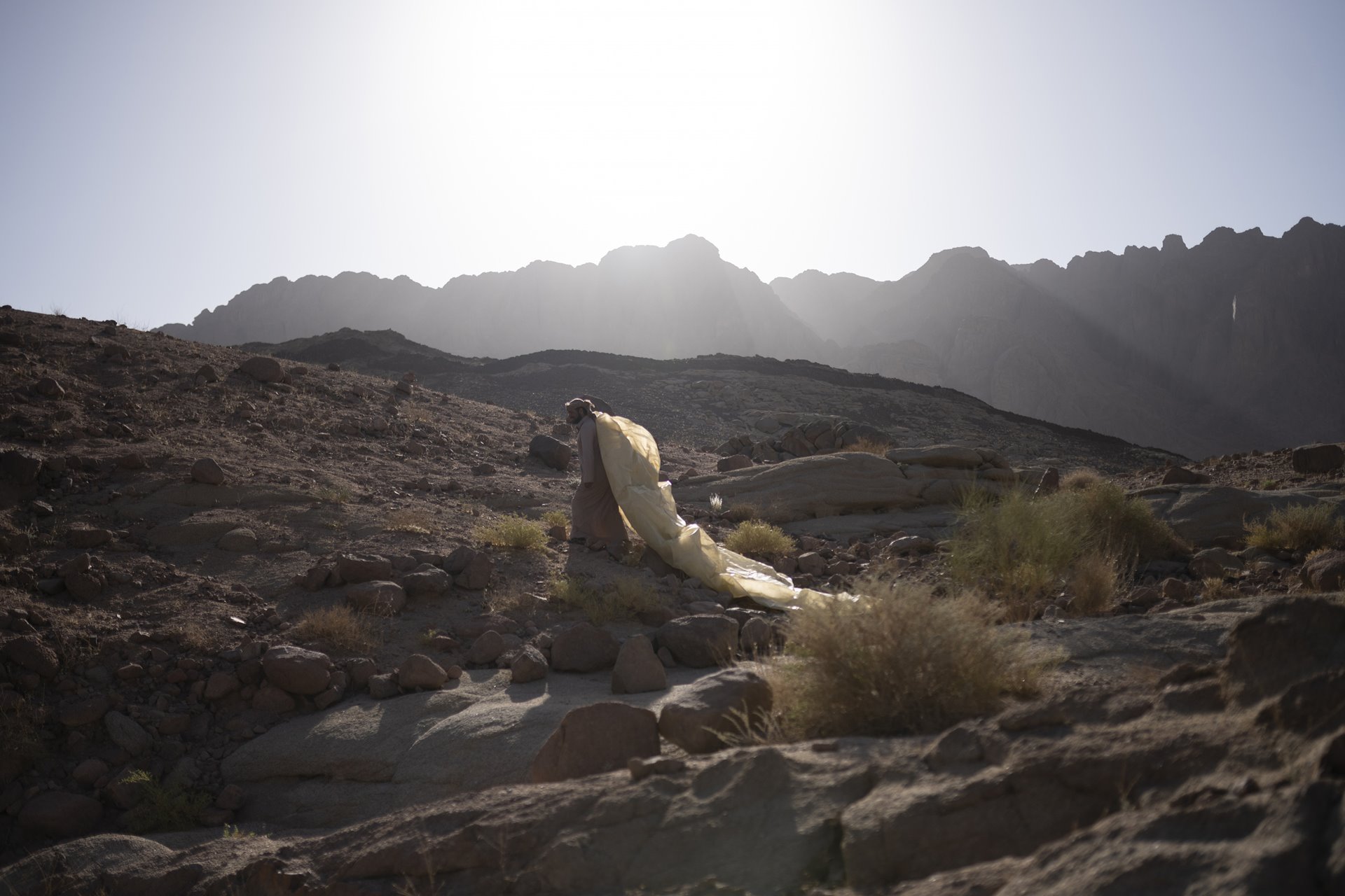 <p>Seliman drags a plastic sheet to dry his plant harvest in St. Catherine, South Sinai, Egypt.</p>
