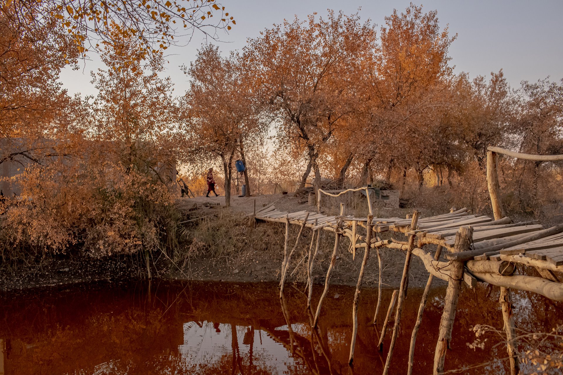 Silt in the Amu Darya in Uzbekistan gives the water a dark red color, as water levels in the river continue to decrease.