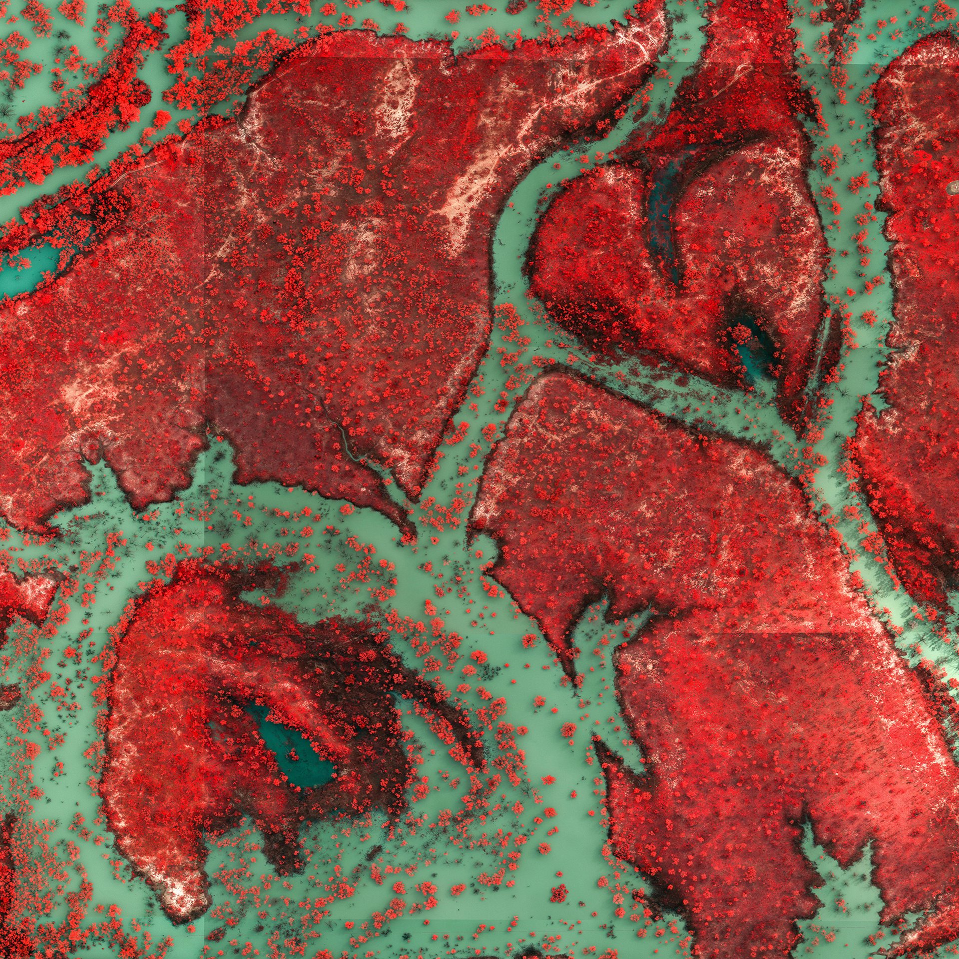Flooding in Mogil Mogil, New South Wales, Australia, creates channels of water and new islands, which resemble hearts in the infrared image captured by NSW Spatial Services. The visual appeal of these infrared images contrasts sharply against the devastation they capture.