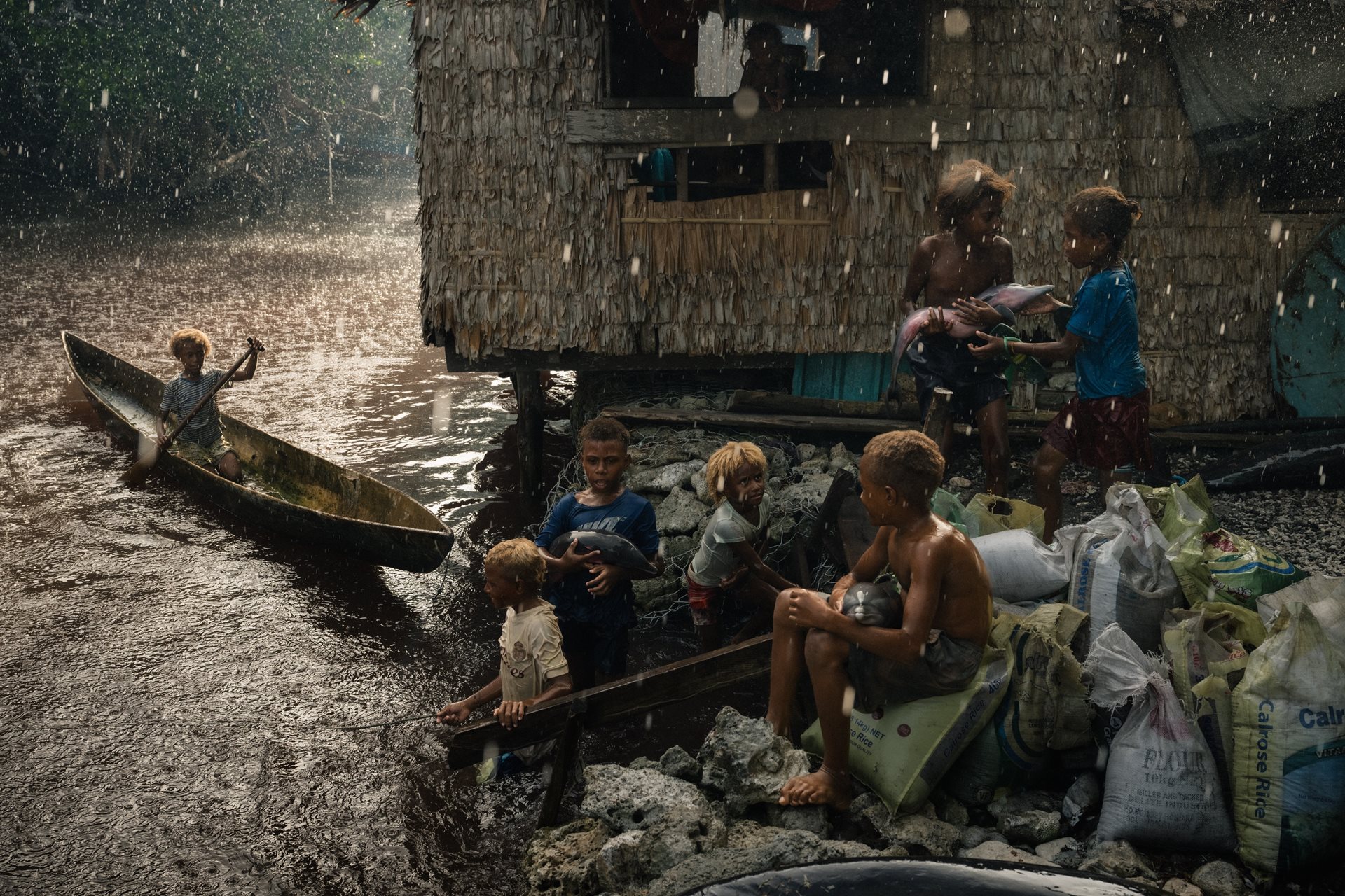 Children play near a butchered catch. In Malaitan society, dolphins are deeply revered and featured in church murals and traditional songs, creating a complex relationship where the animals are both spiritually respected and an important source of food and income. Walande, Maramasike Island, South Malaita, Solomon Islands.