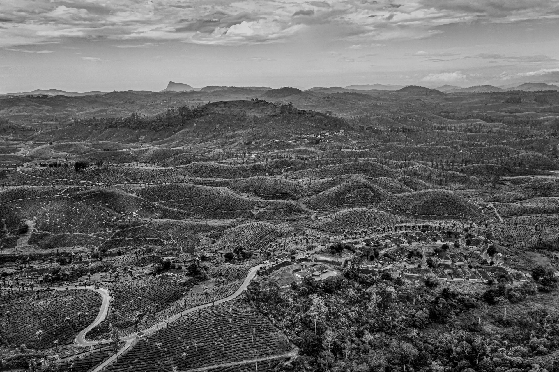 An aerial view of the Anamalai Tiger Reserve, Tamil Nadu, India, a high human-animal conflict zone. Large areas of the natural forest have been cut down to make way for tea and coffee plantations.