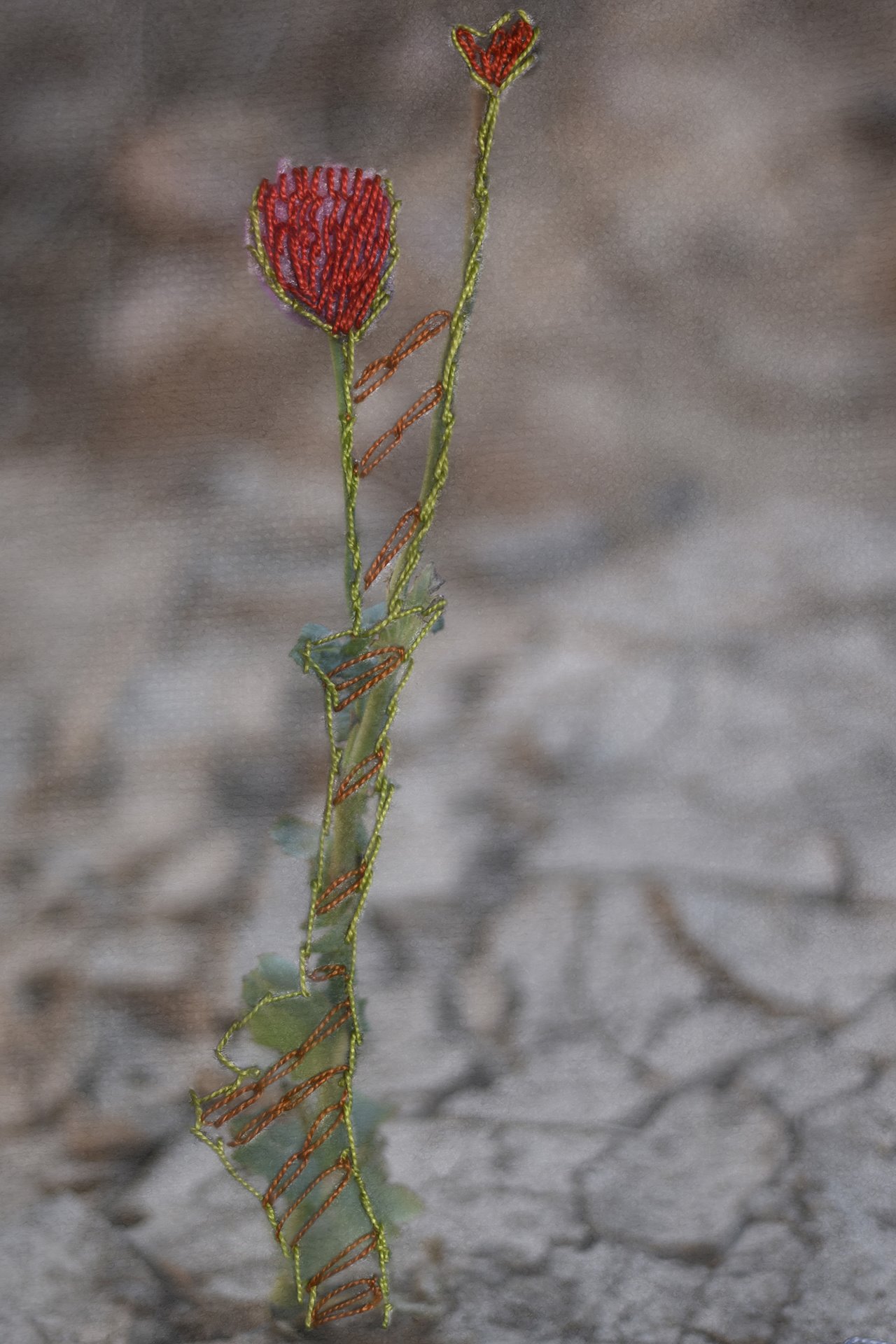 <p>A photograph of a flower sprouting from dry land, embroidered by Om Anas from Al-Tarfa village, in St. Catherine, South Sinai, Egypt.</p>
