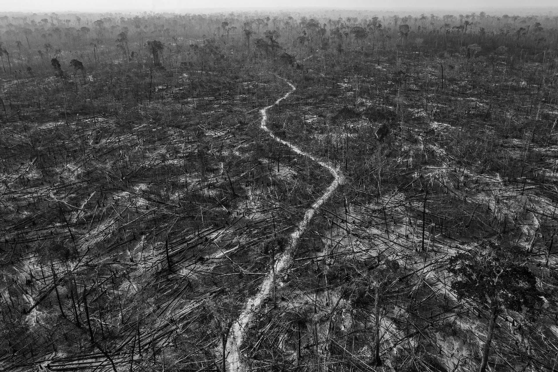 Massive deforestation is evident in Apuí, a municipality along the Trans-Amazonian Highway, southern Amazon, Brazil. Apuí is on the front line of agricultural expansion in the Amazon, and is one of the region&rsquo;s most deforested municipalities.
