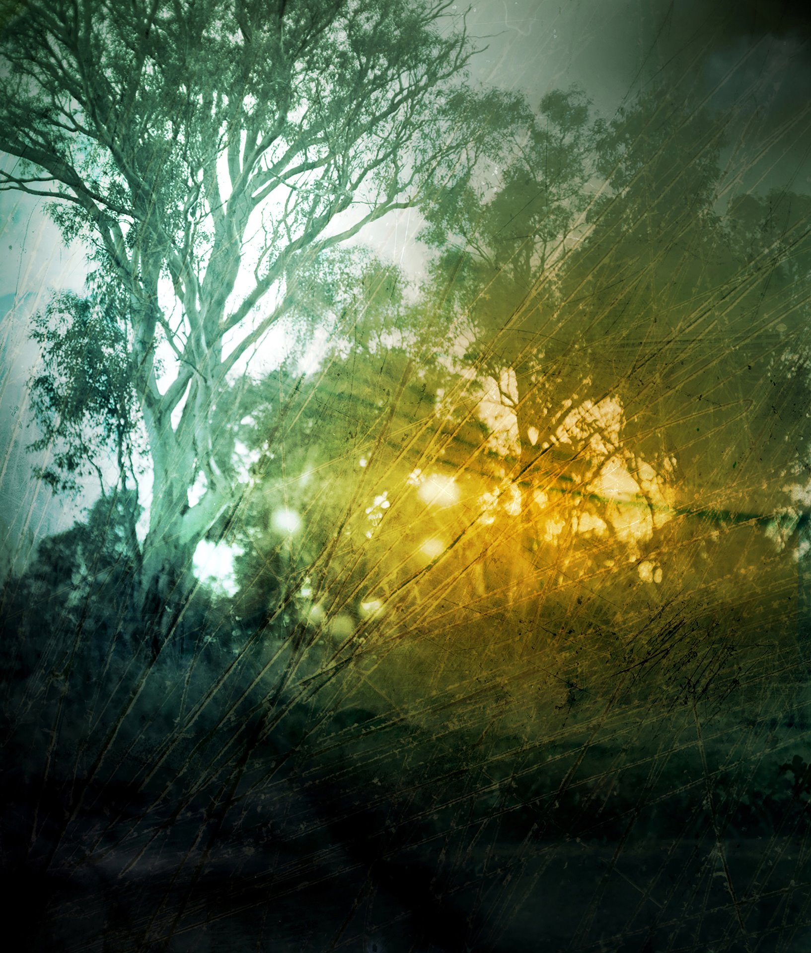 A reimagined landscape of Wagga Wagga (Wiradjuri Land). The photographer painted the photograph with inks, then scratched and reworked the image.