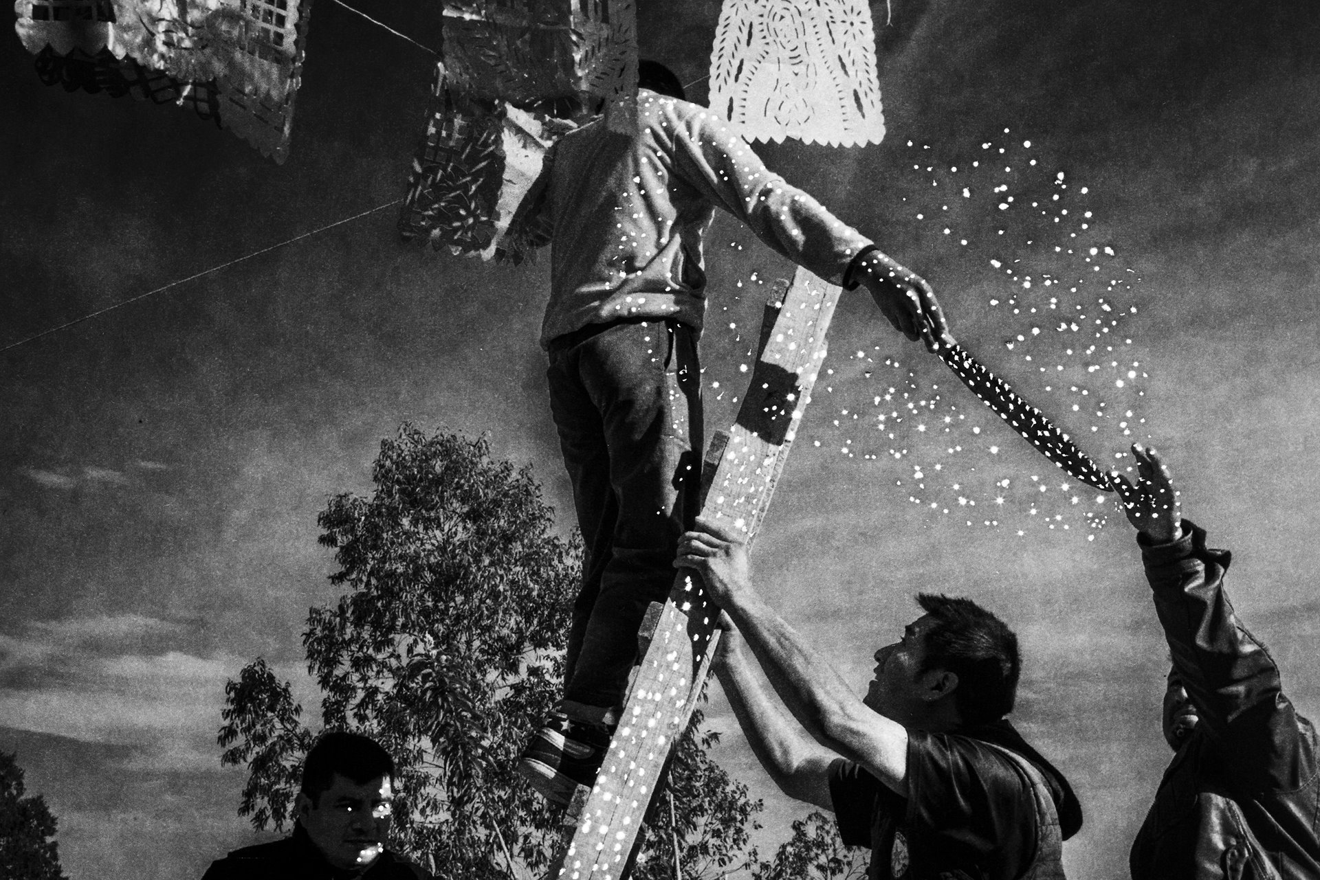 Preparations for the feast of Guadalupe in Malinaltepec, Guerrero, Mexico. The poppy flower fulfills an economic role for the communities and now permeates their rituals and culture.