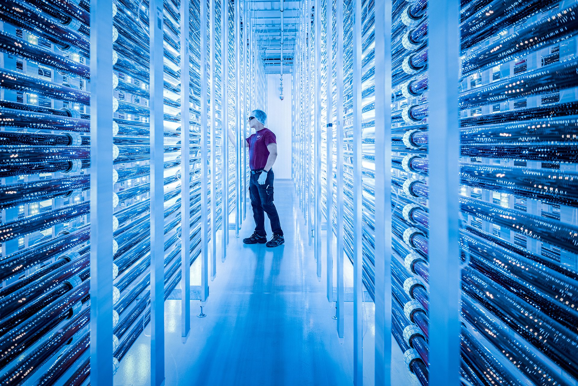 <p>An operator runs a routine check of a photobioreactor at a microalgae facility in Reykjanesbær, Iceland. The company uses algae to produce a food supplement rich in antioxidants, which can be beneficial to eye, skin, and cardiovascular health. The process is carbon negative, since carbon dioxide is used to feed the microalgae.</p>
