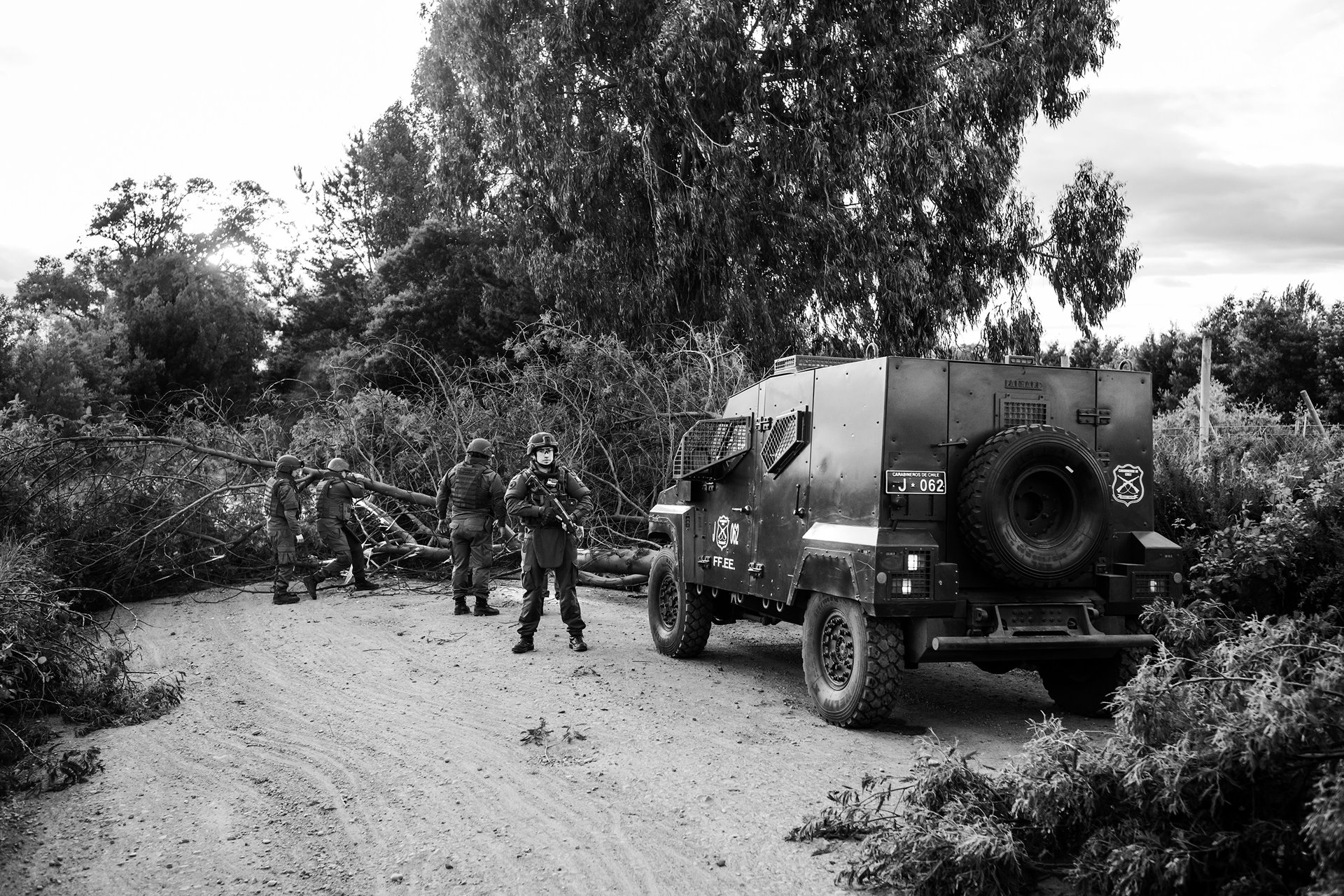 A Chilean police unit encounters a blockade of eucalyptus trees placed across a road in Ercilla, Araucanía. Some Mapuche communities erect such barriers to assert territorial rights.