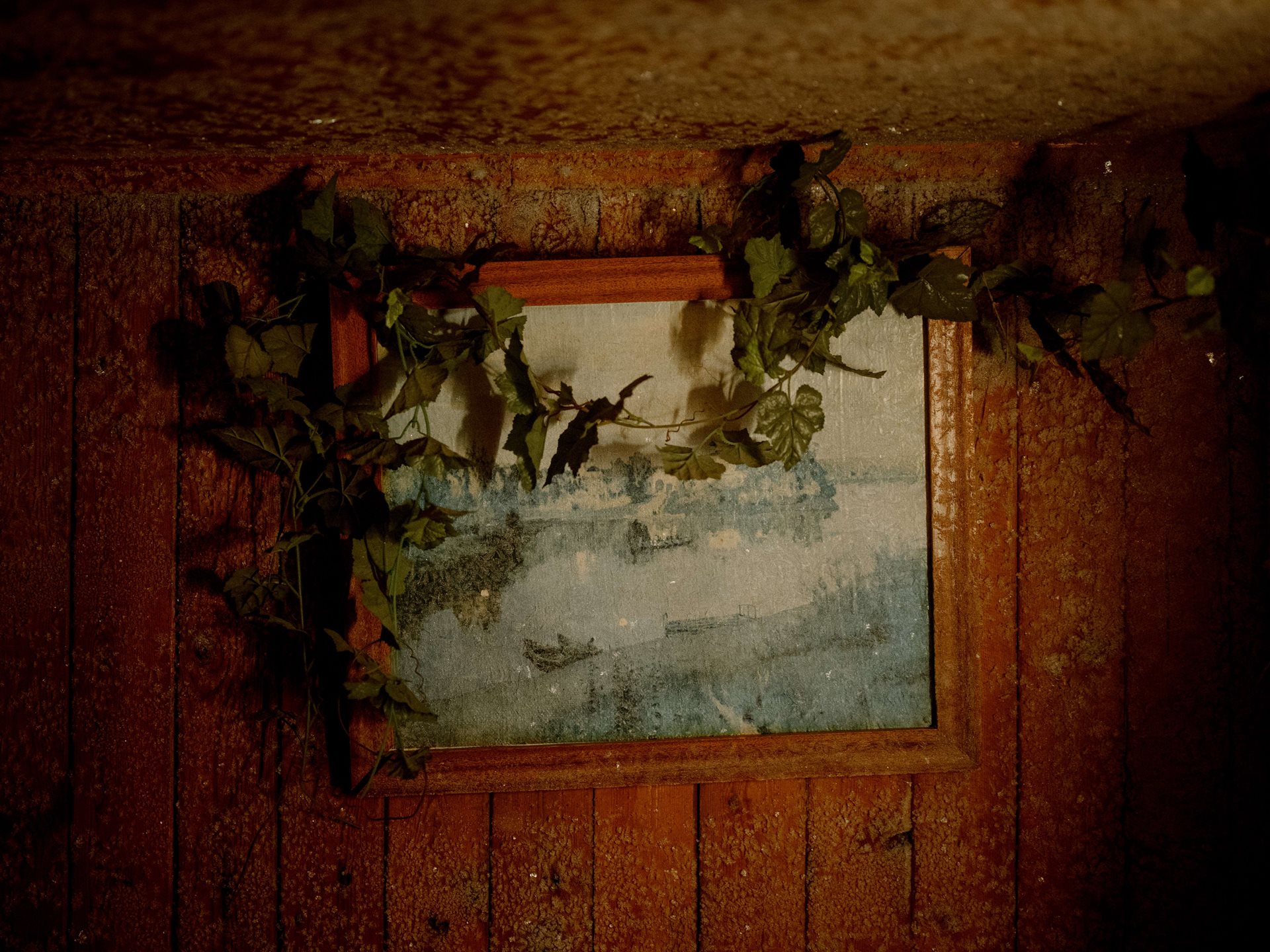 A faded copy of a picture by the Russian-Jewish romantic painter Isaac Levitan hangs draped by plastic ivy and surrounded by hoar frost in the summer kitchen at Aliona&rsquo;s parents house in Tomsk, Russia. Everything is frozen until spring, and the kitchen is unused. Aliona stood mesmerized by this relic of her childhood.