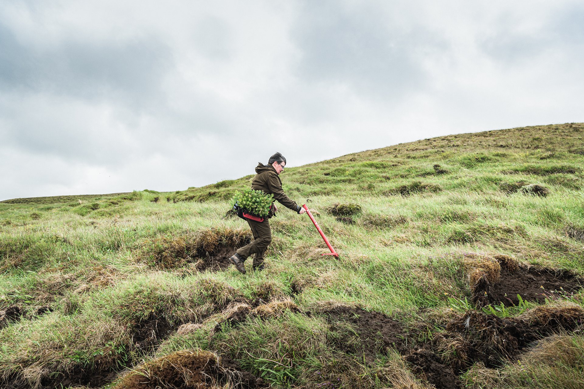 Hrefna Hrólfsdóttir, a volunteer with the Icelandic Forest Service, plants trees in Staður, Iceland. The country lost most of its trees more than a thousand years ago, when Viking settlers cut down forests to supply wood for boats, homes and fuel. Iceland&rsquo;s government views reforestation as one way to help the country meet its climate goals. In addition, it benefits farmers by improving and stabilizing soil, and helps counteract the effects of erosion and sandstorms.