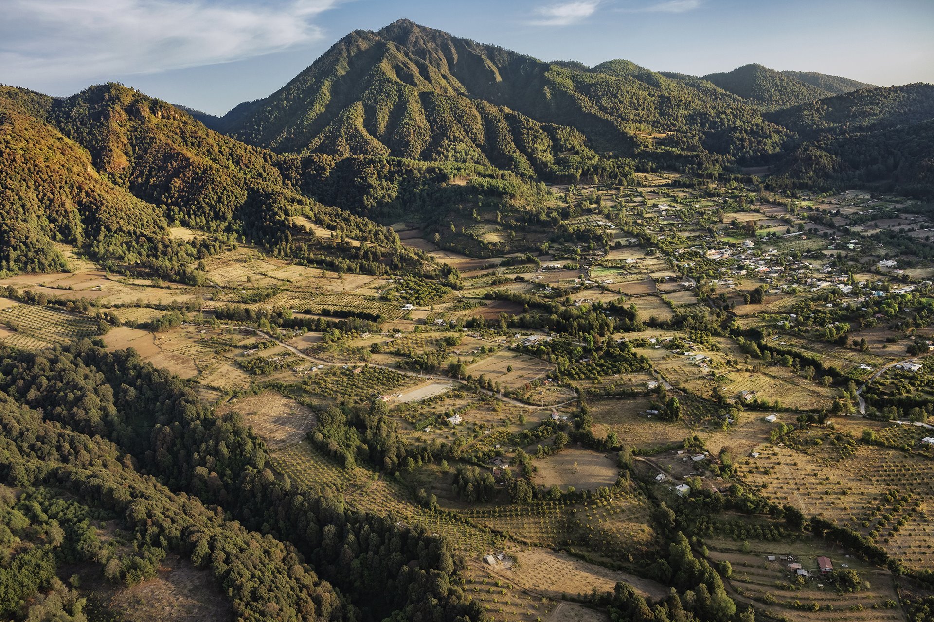 Ever-expanding avocado plantations approach the foothills of Cerro Pelón, a volcanic peak within the core zone of the Monarch Butterfly Biosphere Reserve, in Michoacán, Mexico. Agricultural land use and climate change are among the main threats to monarchs here and in other habitats.&nbsp;<br />
&nbsp;