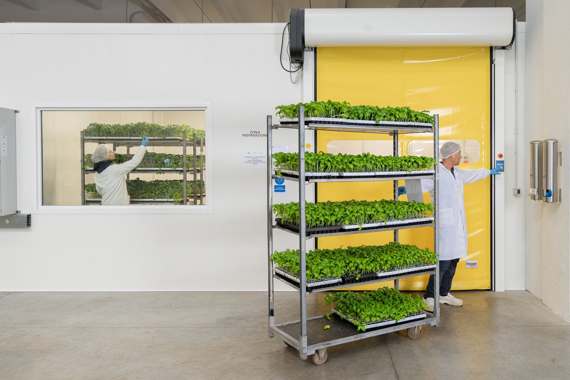 A worker transports seedlings at a vertical farm, near Milan, Italy. Crops grown in vertical stacks increase efficiency of land use, and reduce water consumption. According to research published in the <em>International Journal of Agriculture, Environment and Food Sciences</em>, the yield from vertical farm crops is around times higher that of normally produced field crops, and saves about 70-95 percent on water.