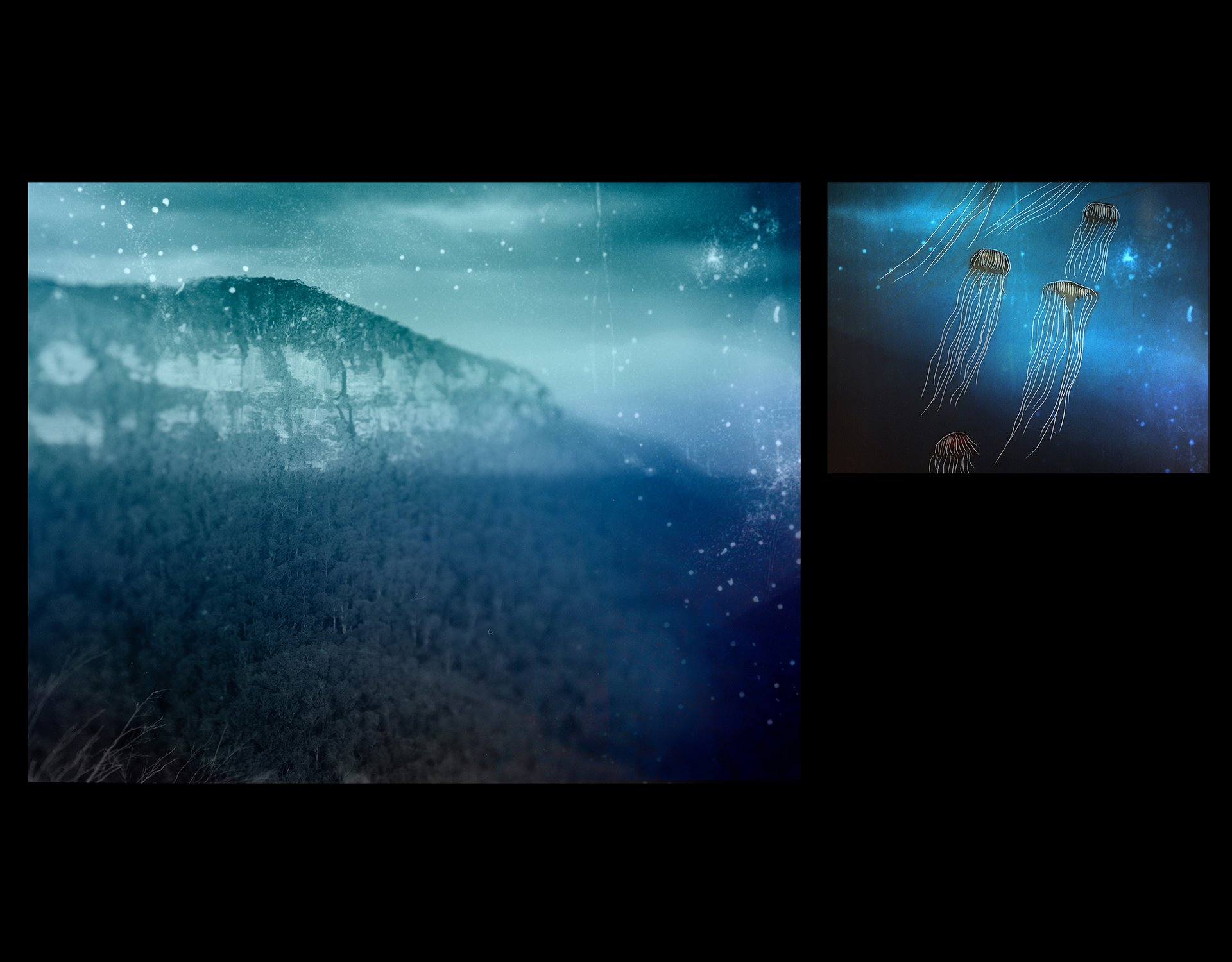 (Left) A reimagined view of the Blue Mountains, Australia. The photograph has been painted with oils and inks by the photographer. The Greater Blue Mountains World Heritage Area (WHA) is located within the Country of six first nations: Darkinjung, Dharawal, Dharug, Gundungurra, Wonnarua, and Wiradjuri Traditional Owners. (Right) Pacific Sea nettle Jellyfish, United Kingdom. The photograph was hand printed in the darkroom, scratched, and reworked by the photographer.<br />
(Right) Pacific sea nettle Jellyfish, Horniman Museum and Gardens, London UK. These Jellyfish have been found off the coast of Australia and are also kept in British Museum collections. This image was hand-printed in the colour darkroom by the photographer, and then scratched with a scalpel.