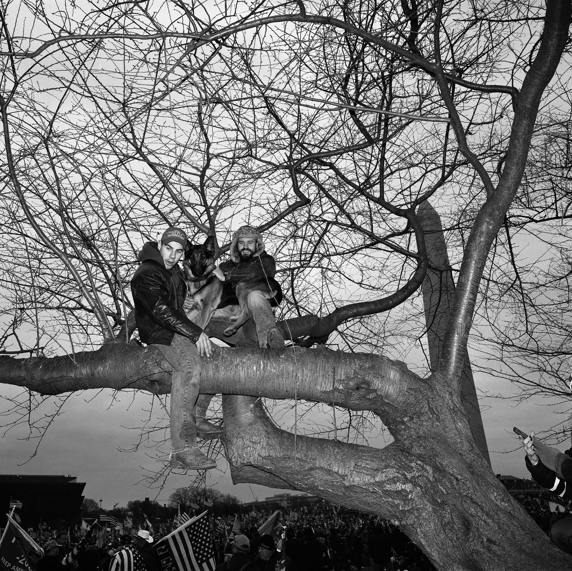 Two men watch the Save America rally from a tree on the Ellipse, near the White House, in Washington DC, USA, on 6 January 2021. At the rally, President Trump encouraged supporters to march to the Capitol, in a speech that later led to accusations that he was inciting them to violence. Trump&rsquo;s lawyers said he was merely making statements about the need for election security in general.