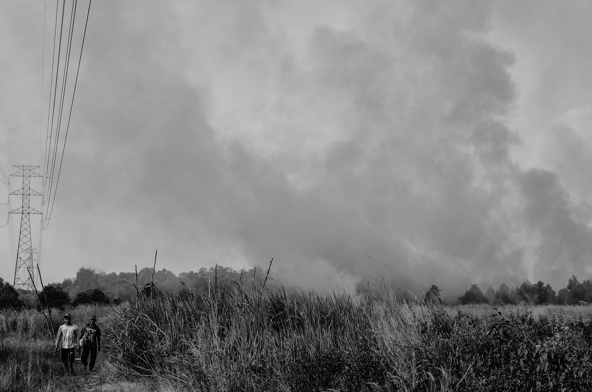 Farmers walk past burning peatland fires to their land, to try to make sure it doesn&rsquo;t also catch alight.