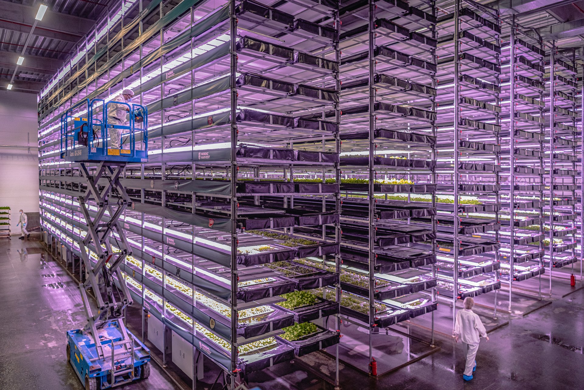 An operator tends plants at what was at the time Europe&rsquo;s largest and most efficient vertical farm, with 14 floors and an output capacity of more than 3,000 kilograms of produce per day, in Copenhagen, Denmark.<br />
<br />
By having full control over the environment, the indoor farm can produce herbs and lettuce with no need for pesticides or other toxic chemicals. The farm is supplied by wind energy, and thanks to hydroponic technology (cultivation in a water-based solution of nutrients, rather than soil) uses considerably less water than outdoor fields would do.&nbsp;