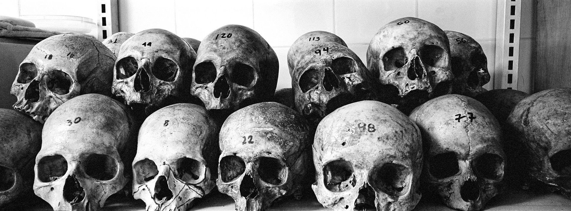 Skulls of people killed by different parties during the internal conflict in Colombia lie in the National School of Criminalistic and Forensic Science (ENAC), in Medellín, Antioquia, Colombia.