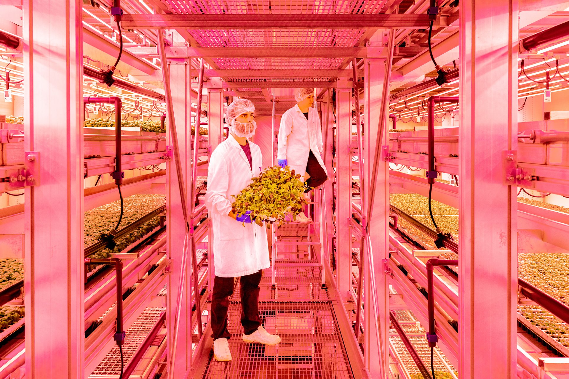 <p>Workers monitor seedling growth at a vertical farm, near Milan, Italy. Crops grown in vertical stacks increase efficiency of land use, and reduce water consumption. According to research published in the <em>International Journal of Agriculture, Environment and Food Sciences</em>, the yield from vertical farm crops is around times higher that of normally produced field crops, and saves about 70-95 percent on water.</p>
