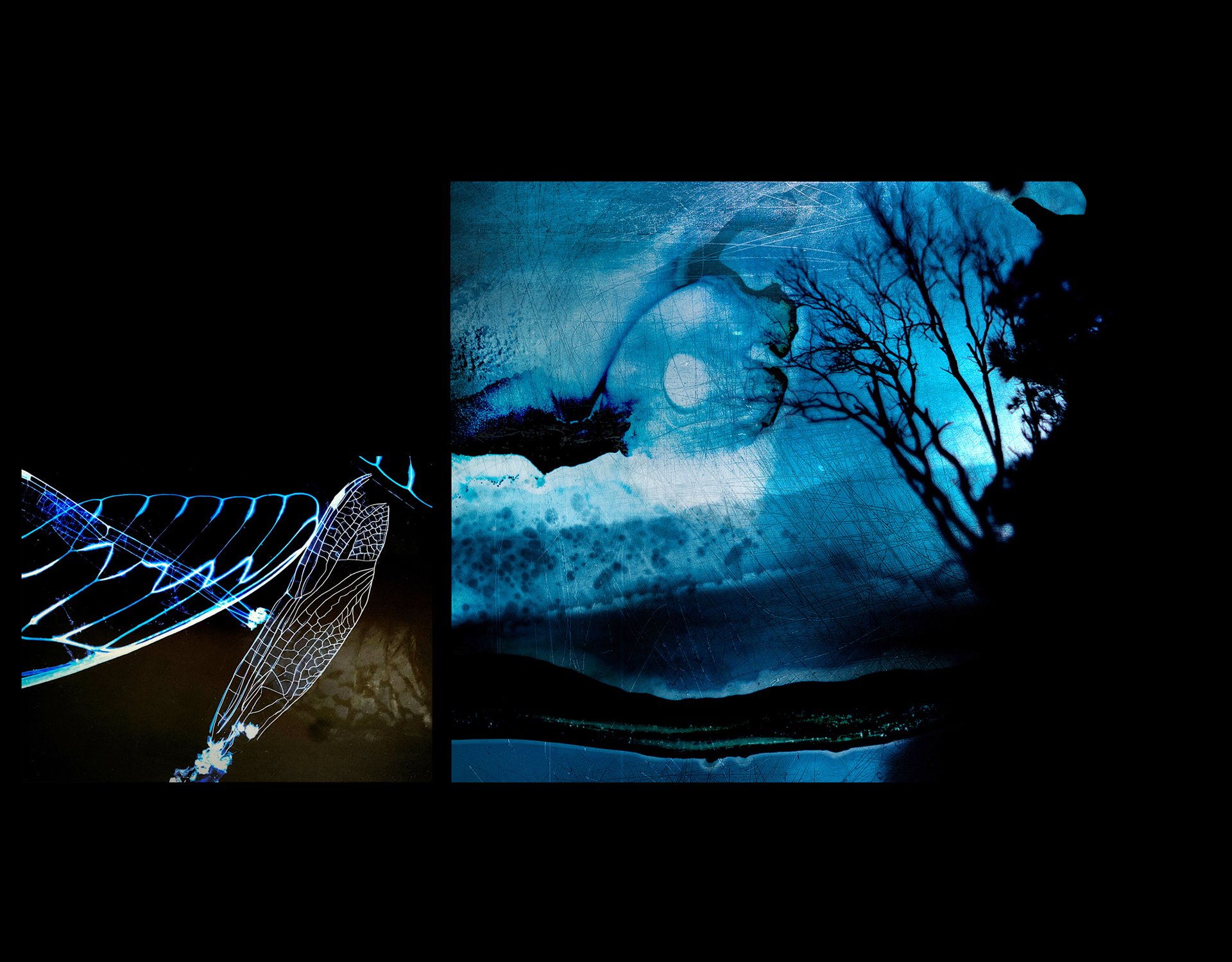 (Left) A photogram made in the darkroom by the photographer, from the wings of cicadas and dragonflies found on the beach in Australia. The resulting print is then scratched with a scalpel. (Right) An idyllic scene taken in Ulladulla, (Yuin Country) Australia, where the photographer spent her childhood holidays. Ulladulla narrowly escaped the wildfires of 2019-2020 but the surrounding countryside was badly burned.&nbsp;