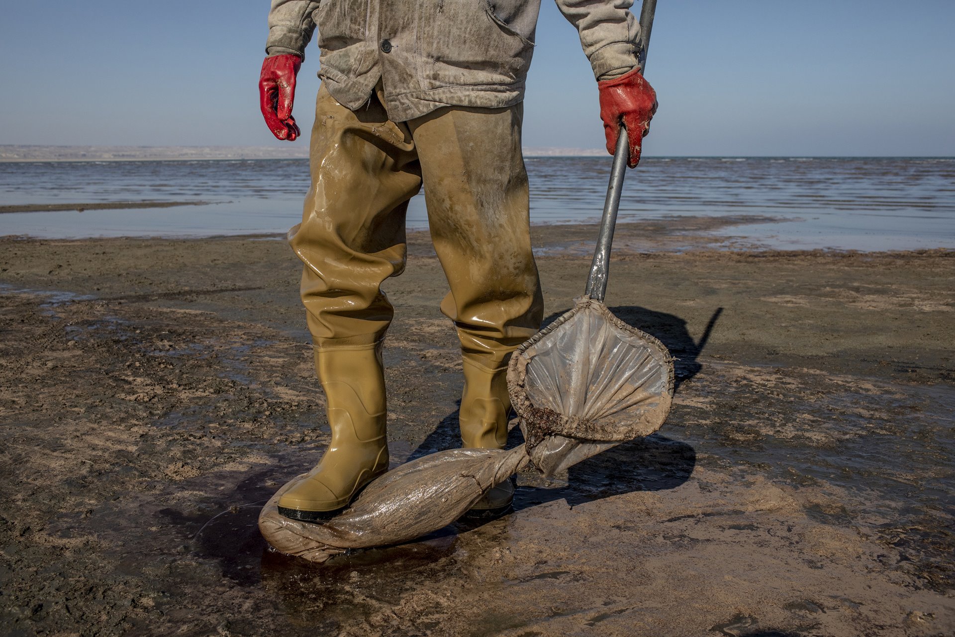 A shrimp farmer squeezes excess water out of a bag filled with minute <em>Artemia salina </em>brine shrimps, beside the Aral Sea, in Uzbekistan. Farming this ancient species of shrimp, which breed in highly saline water, is a growing industry along the shores of the Aral Sea. As its waters have receded, they have become increasingly saline.