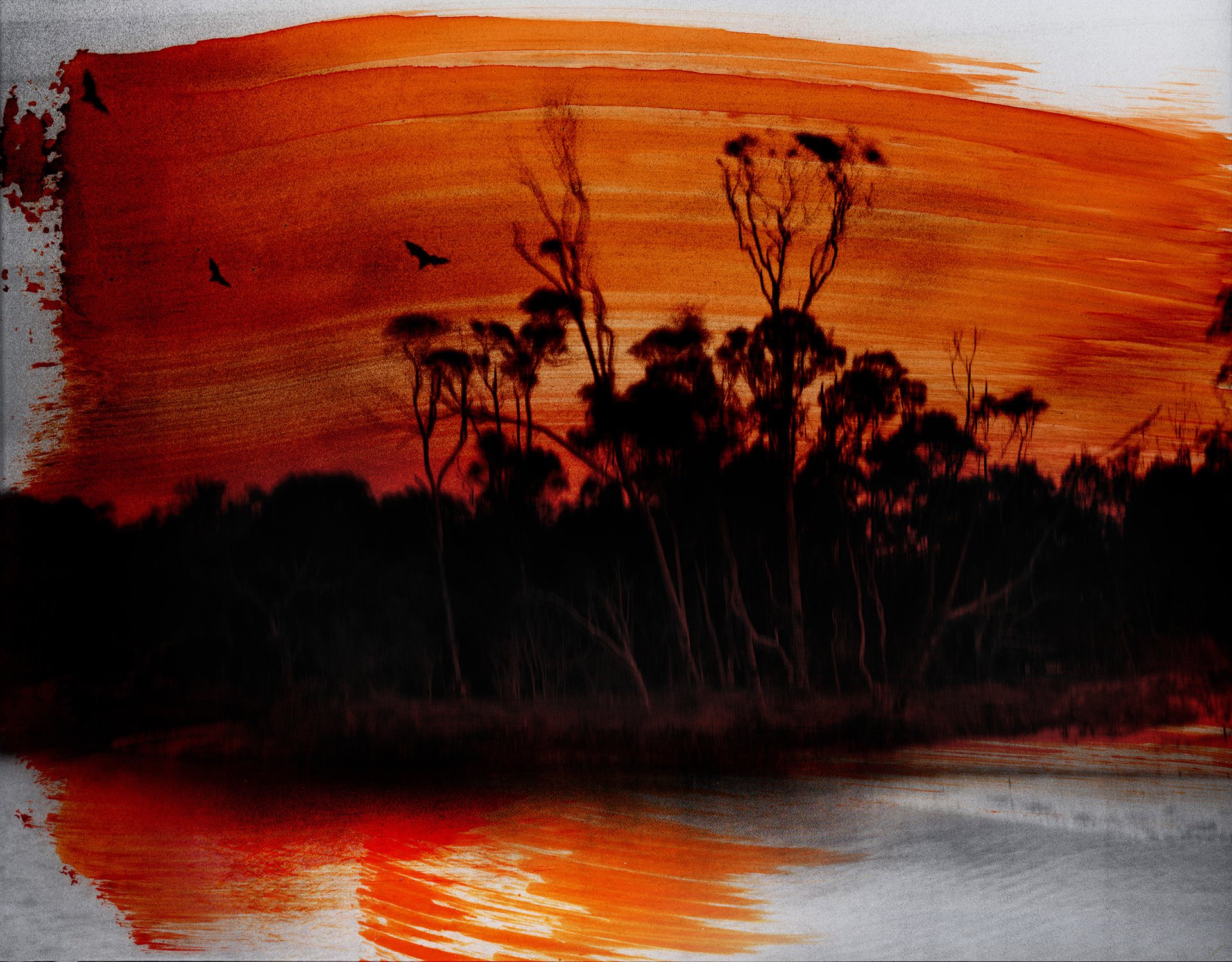 Callala Creek (Jerrinja and Wandi Wandian Country) near the photographer&rsquo;s family home. The photograph was hand printed in the darkroom by the photographer and then painted with ink.