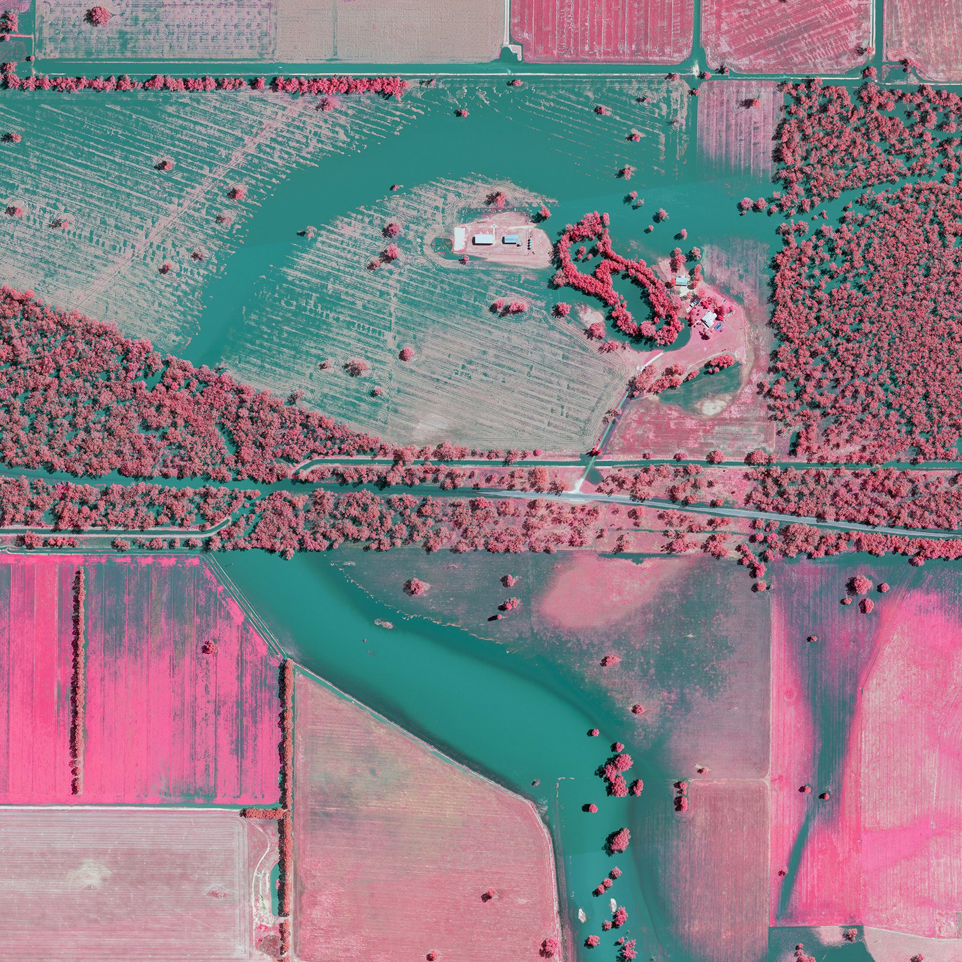 High waters in agricultural regions severely impacted local farmers, who were preparing for a high crop harvest. Forbes, New South Wales, Australia.