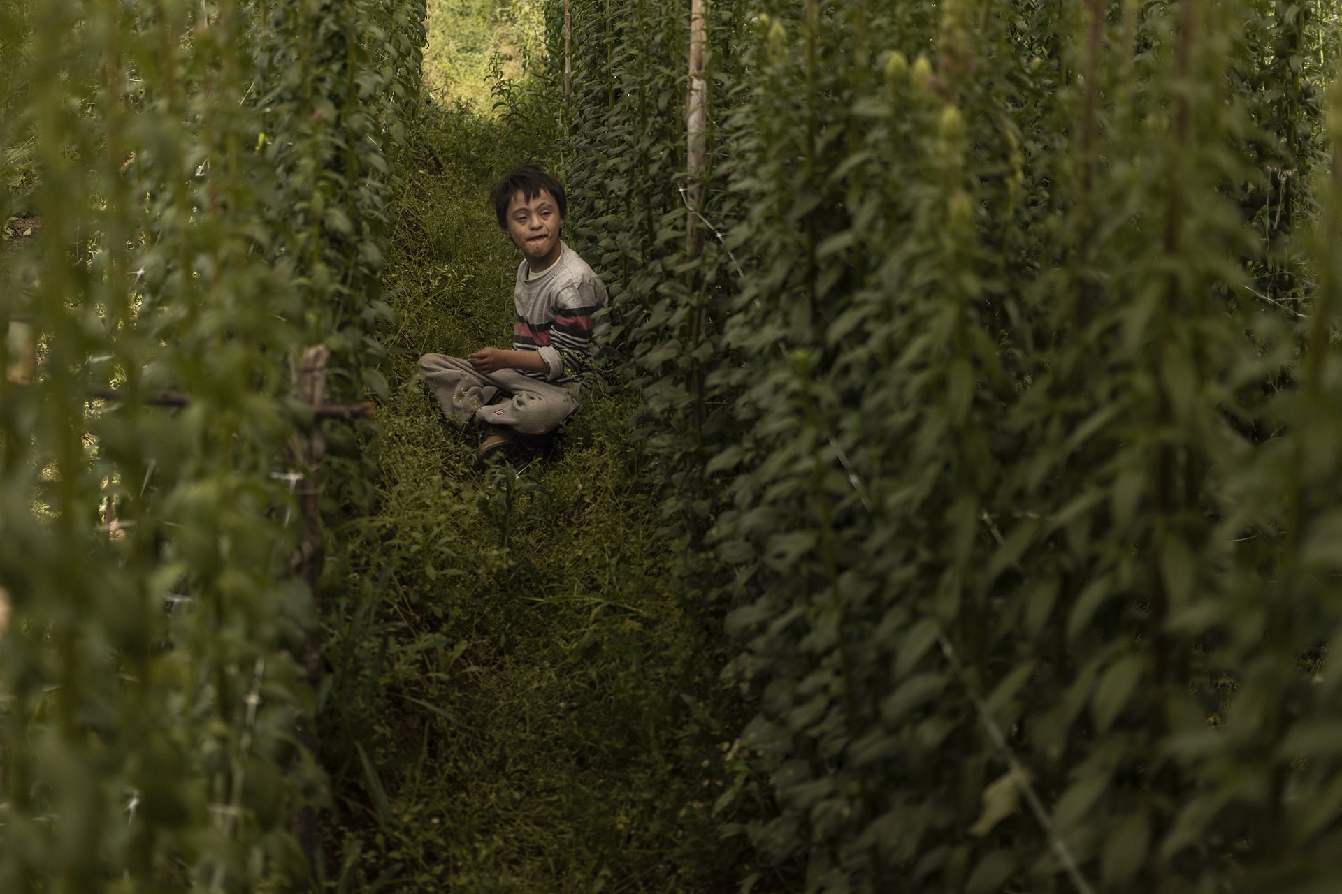 Gael (9), who lives with Down syndrome, sits in a flower field in Villa Guerrero, Mexico. His parents both work in the flower industry.