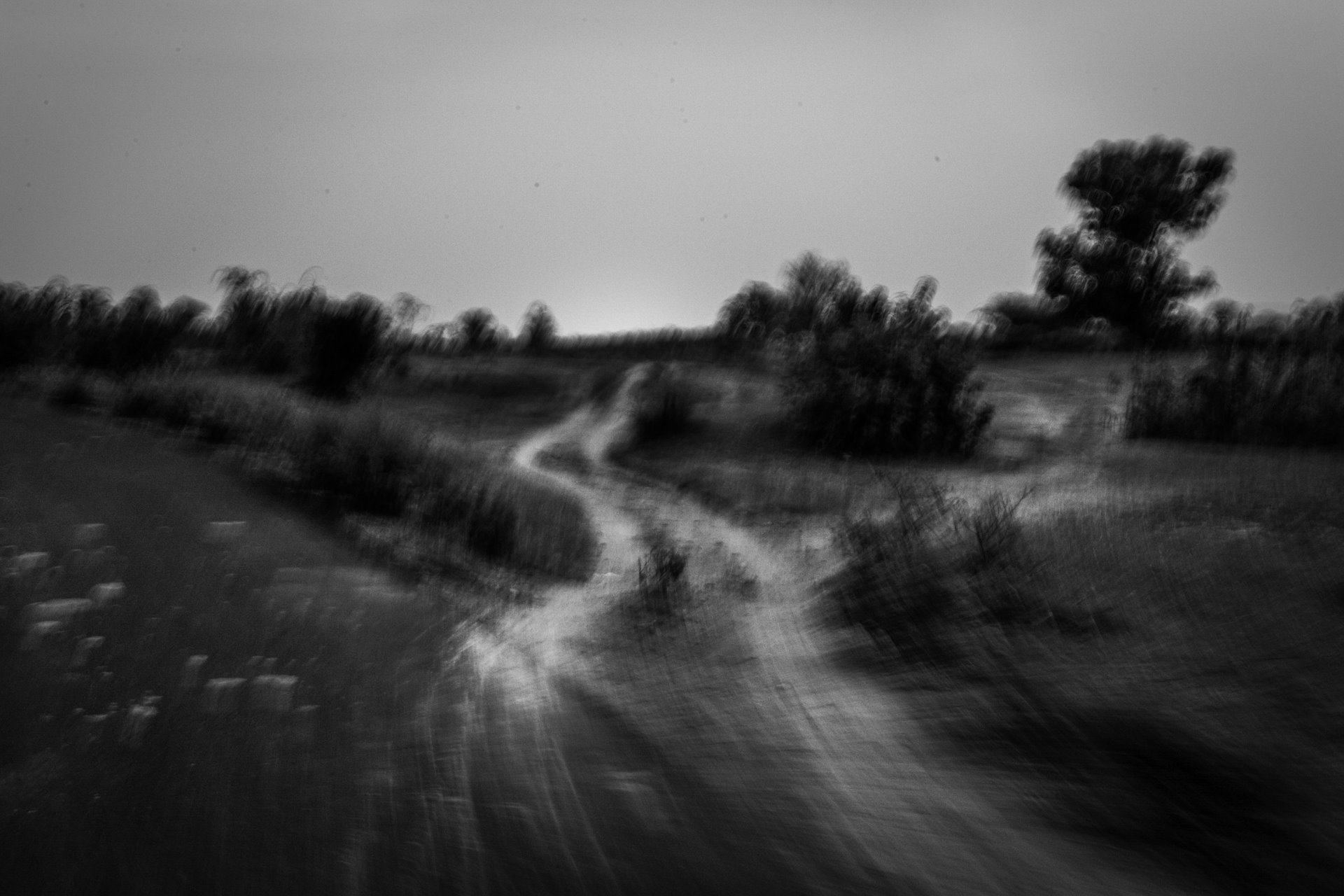 The track running out of the village of Kutvanda, a high human-animal conflict zone in the Tadoba Andhari Tiger Reserve, in Maharashtra, India.