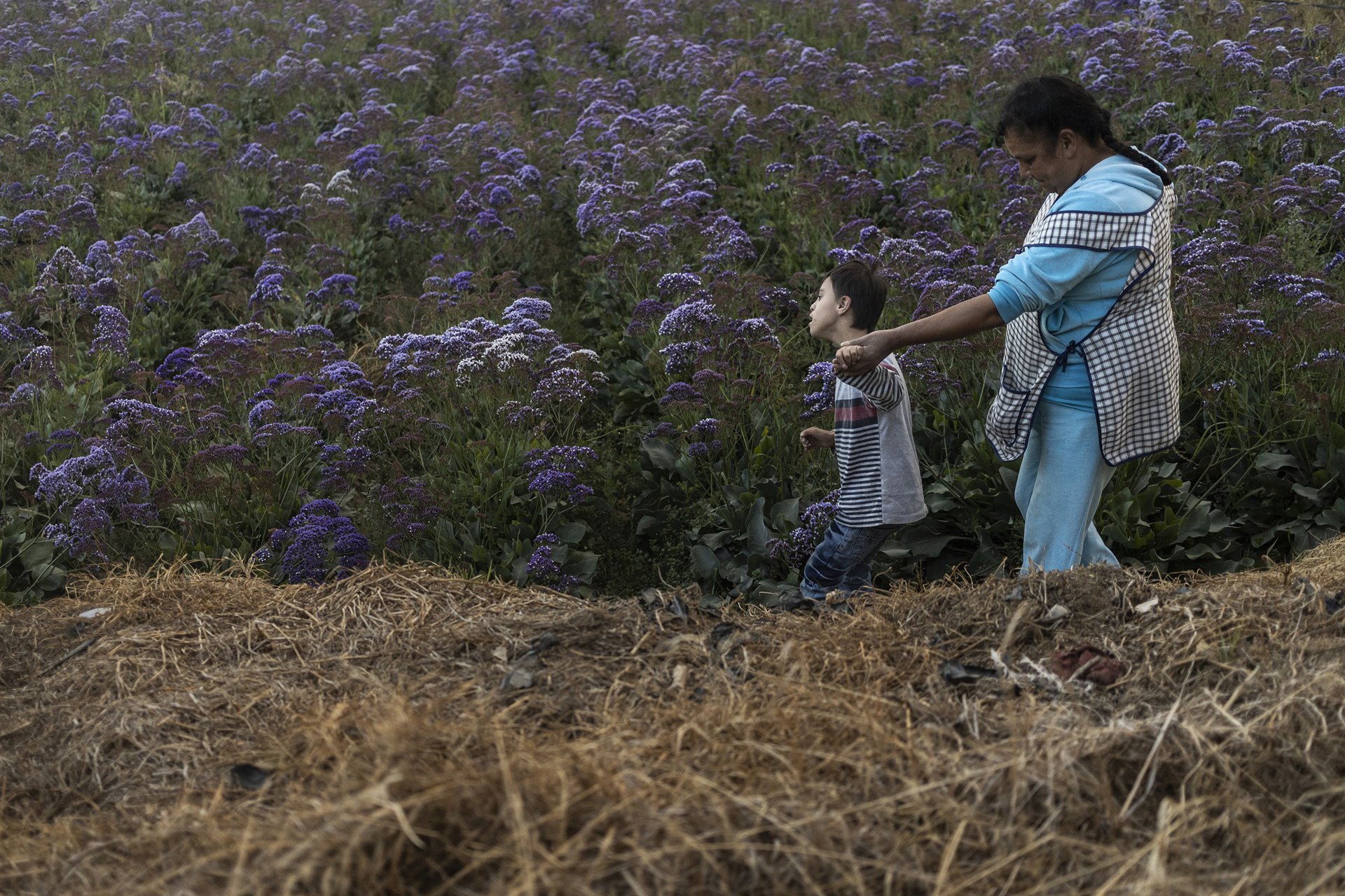 Celerina and her son Gael, who lives with Down syndrome, walk through a flower field in Villa Guerrero, Mexico.