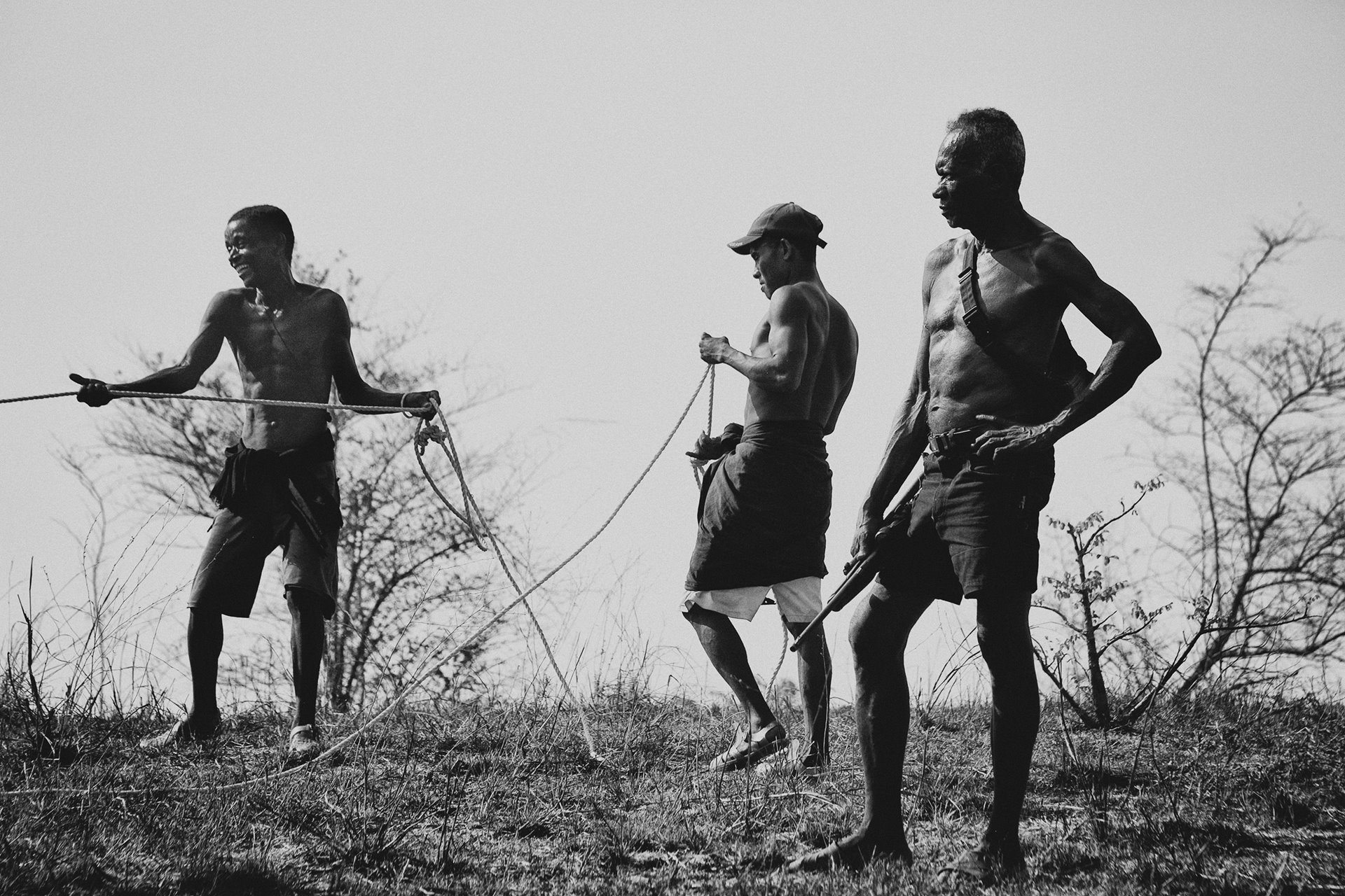 Kasay herdsmen catch a wild zebu with a rope, so as to tame it and add it to their herd to later be sold at market.