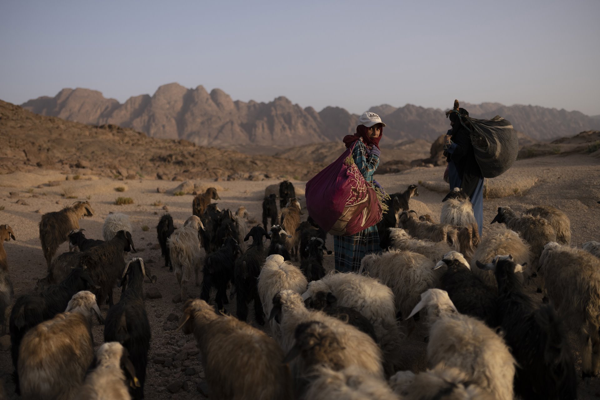 Zeinab (27), Salema (42), Aysha (41) and Amal (45) return to Al-Tarfa Village after walking across the mountains in order to feed the village herd and collect medicinal herbs for the community. Medicinal herbs became increasingly important for the Bedouin community during the COVID-19 pandemic, due to a lack of medicine and access to medical aid.