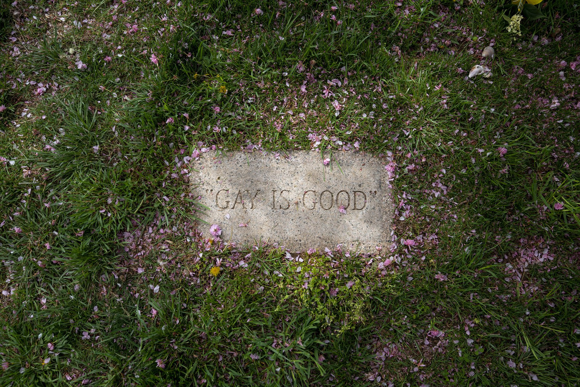 The gravesite of Franklin Kameny at the Congressional Cemetery in Washington D.C. In 1957, Kameny was fired from his job as an astronomer working for the Army Map Service &ldquo;because of his homosexuality.&rdquo; He had hoped to one day go into space, but instead he was one of thousands of LGBTQI+ federal employees fired during the Lavender Scare, an anti-LGBTQI+ policy in which 5,000 to 10,000 employees were removed from the United States federal government and the military.&nbsp;