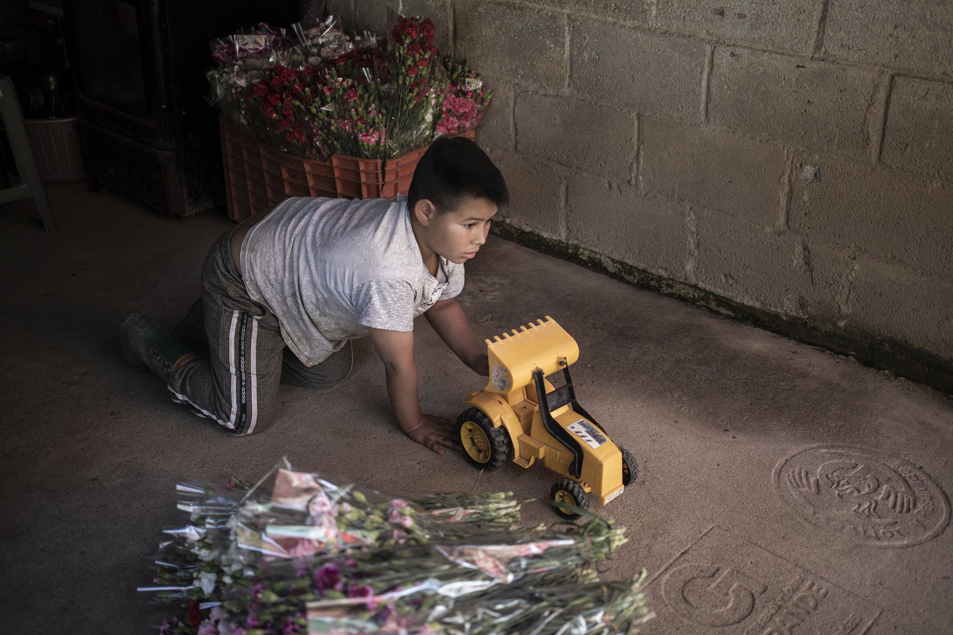Josué (10) plays at home with a plastic tractor after helping his father, Don José, pack flower bouquets, in Villa Guerrero, Mexico.